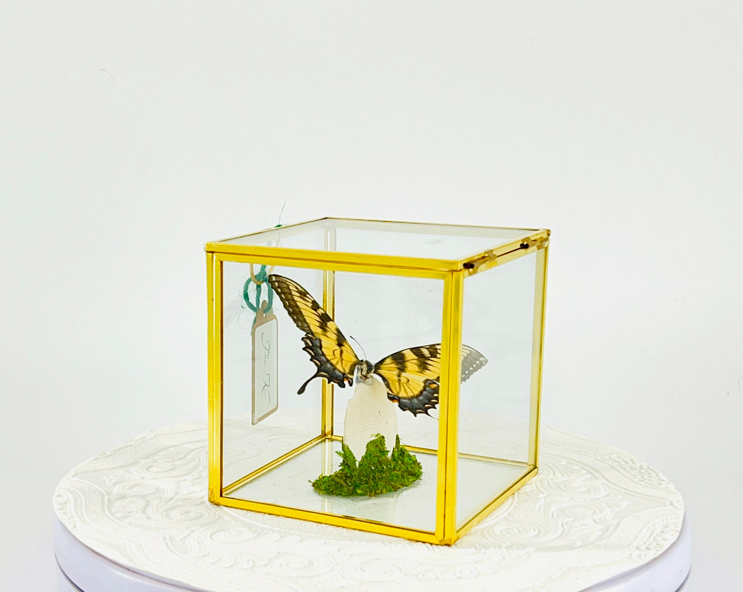 The Cube | Centerpiece | Eastern Tiger Swallowtail | Yellow Black Blue | Flutter by Katie Handmade Butterfly Sculpture Art | Home Decor | North America