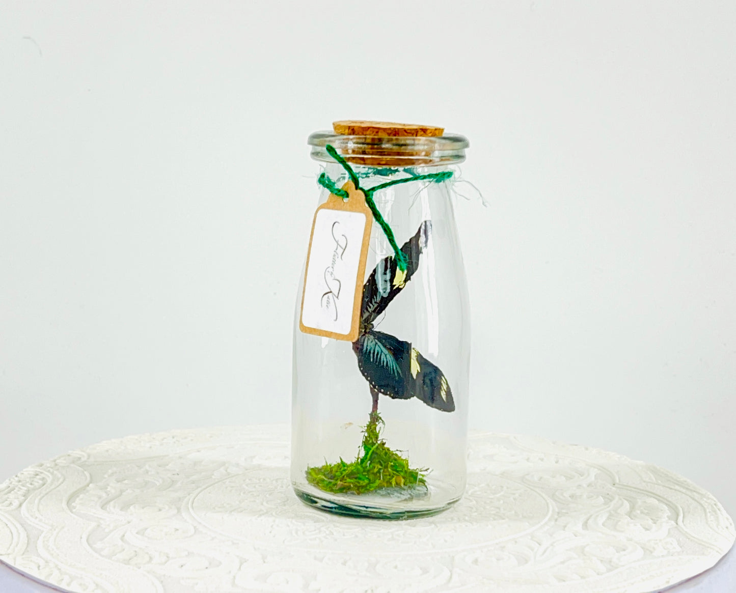 Accent | Centerpiece | Doris Longwing | Blue Yellow | Flutter by Katie | Handmade Butterfly Sculpture Art | Home Decor | Central America