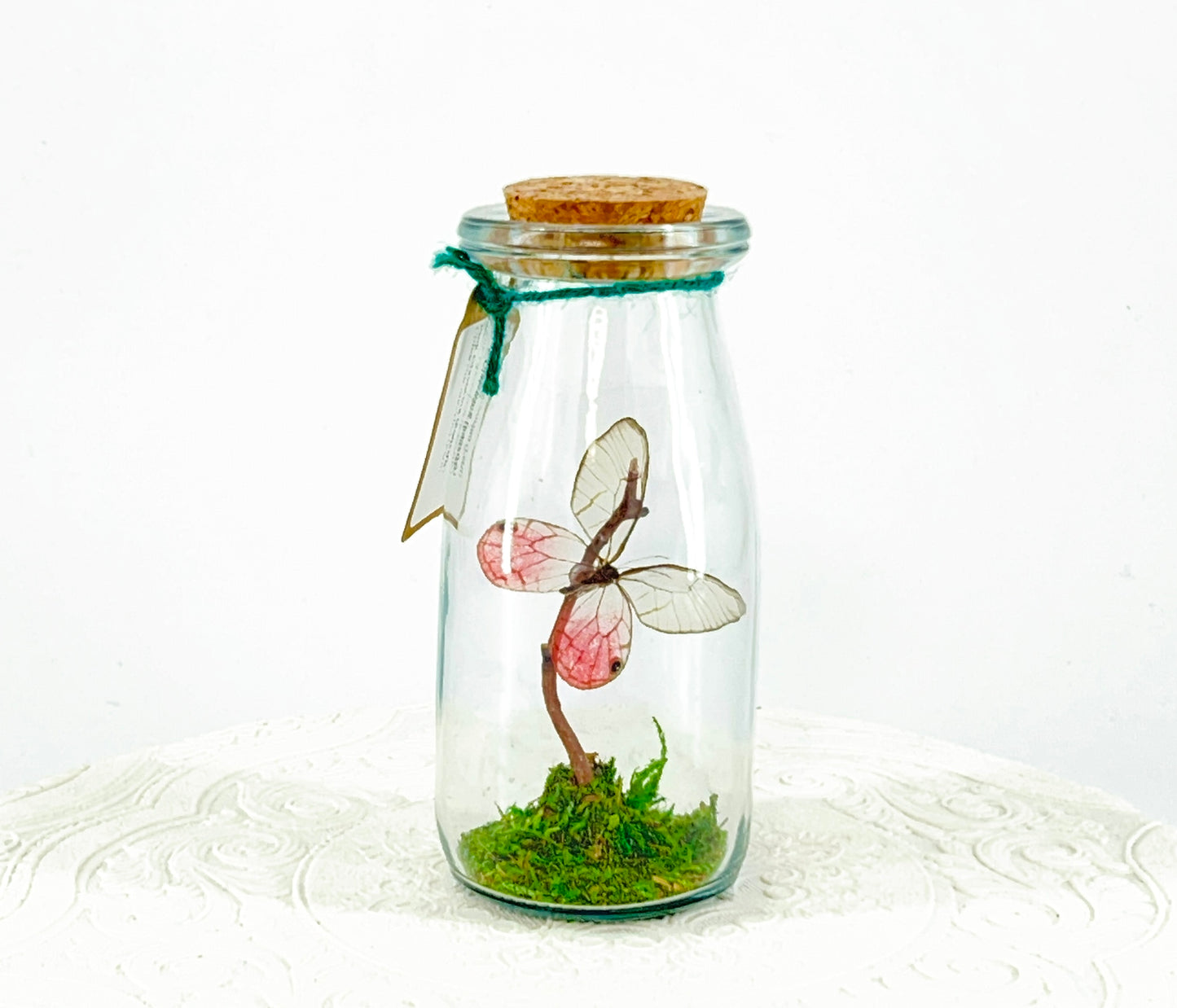 Accent Jar | Pink Glasswing | Pink | Tabletop Display