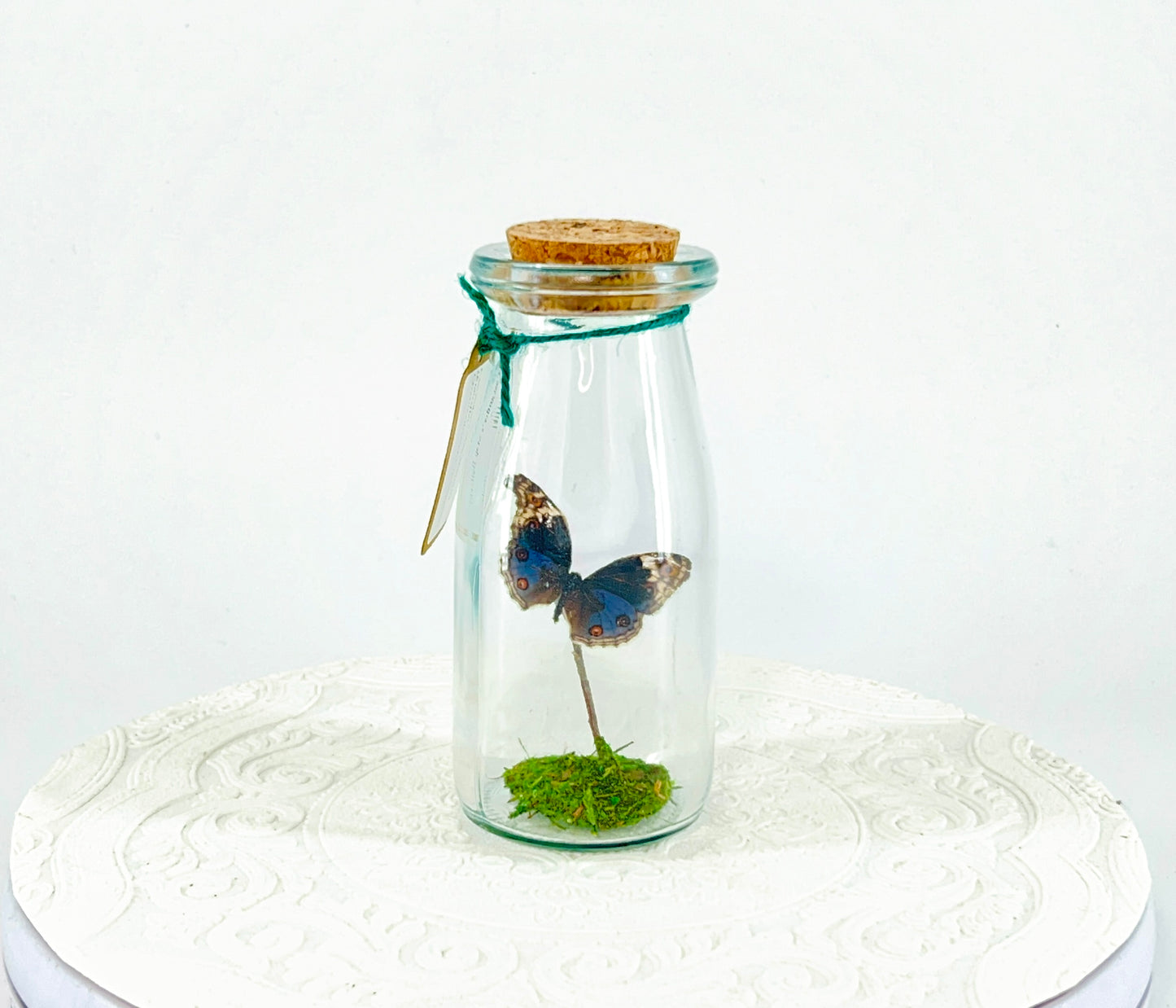 Accent Jar | Blue Buckeye | Blue White Spotted | Tabletop Display