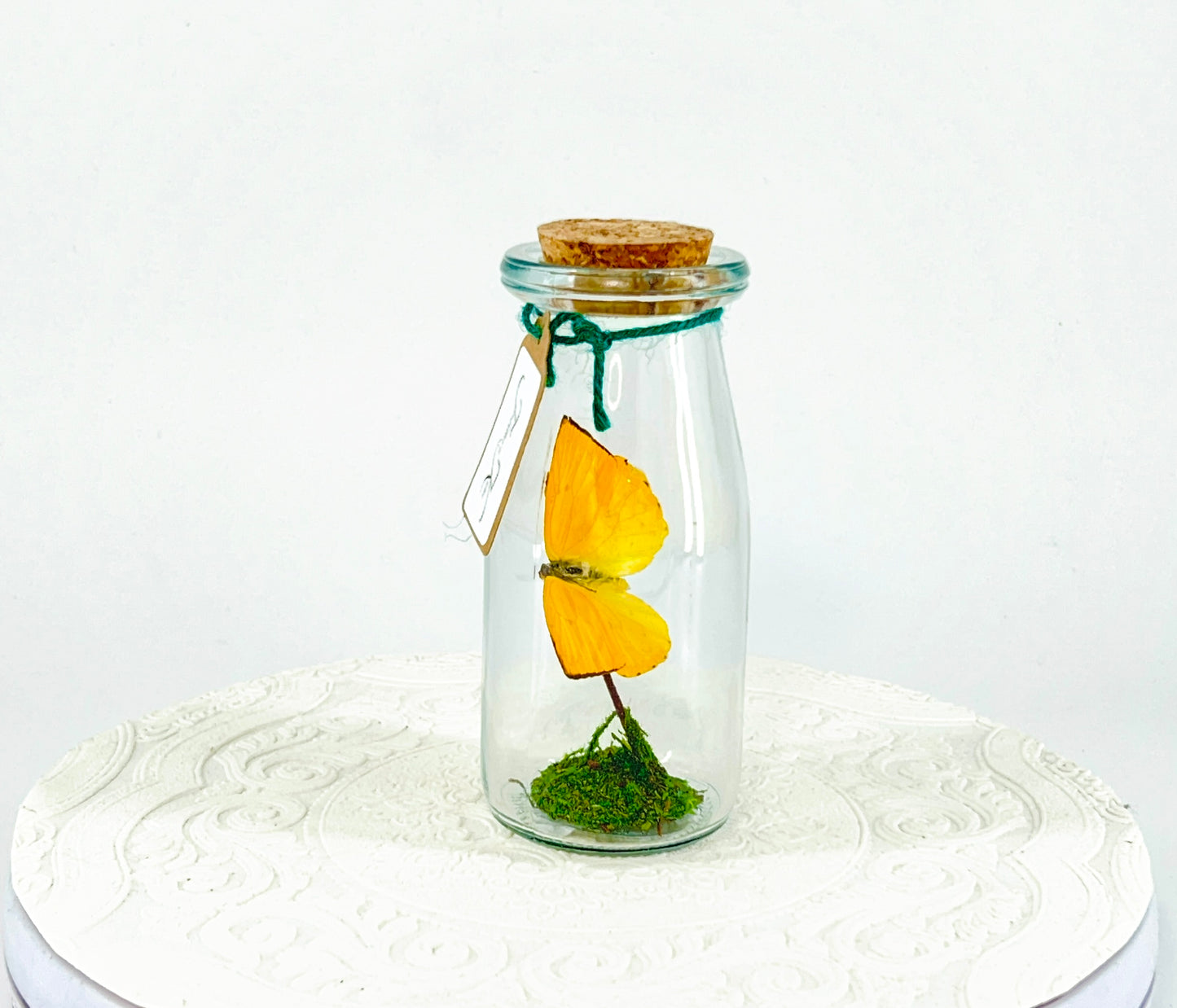 Accent Jar | Apricot Sulphur | Yellow | Tabletop Display