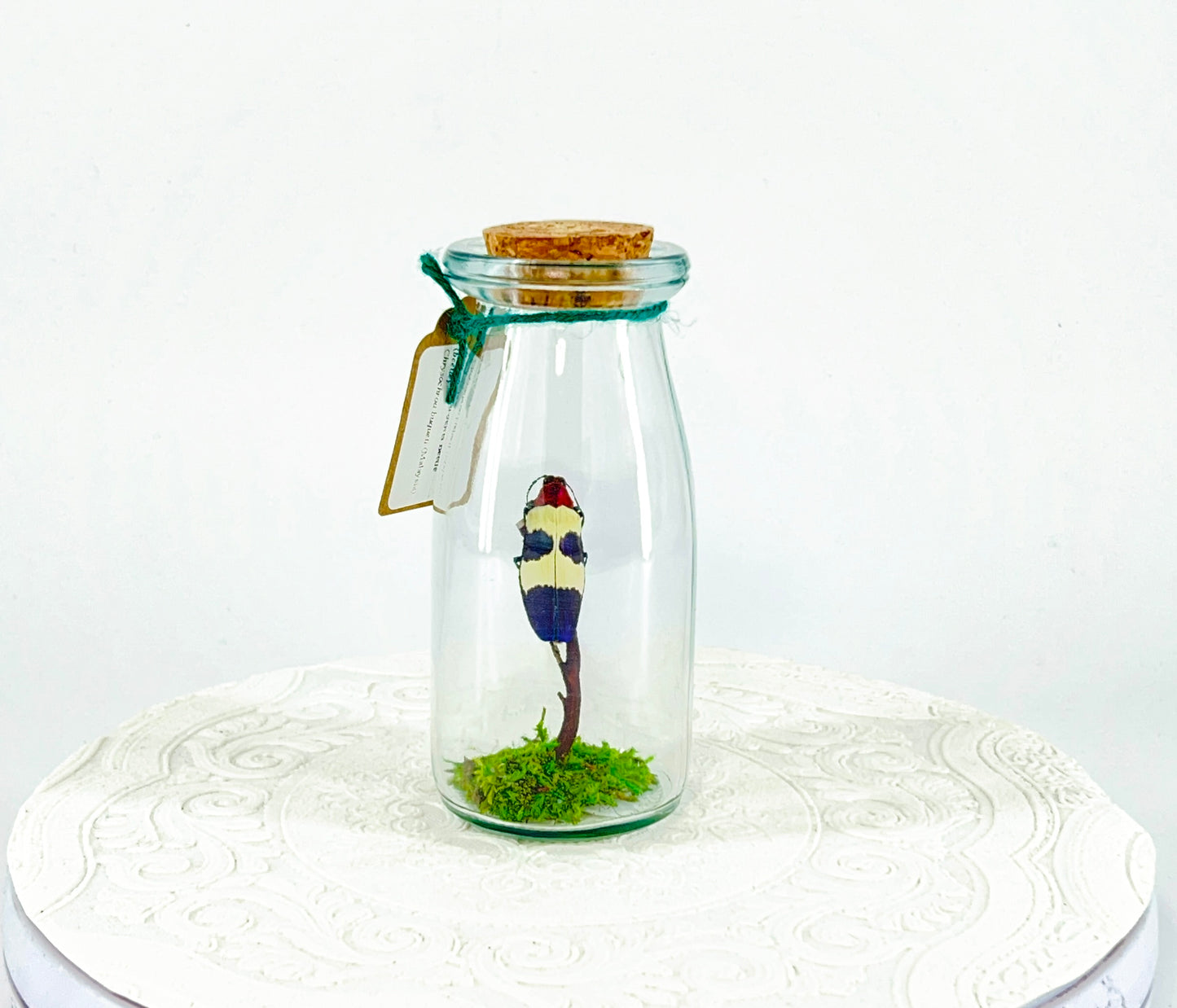 Accent Jar | Red Speckled Jewel Bettle | Red Yellow Blue | Tabletop Display
