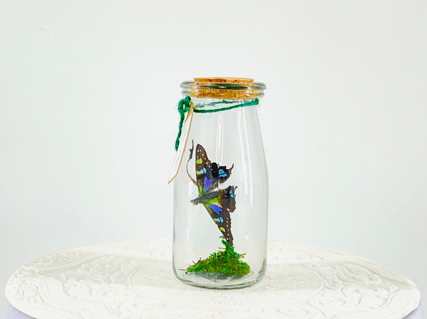 Accent | Centerpiece | Purple Spotted Swallowtail | Purple Green Blue Black | Flutter by Katie Butterfly Display | Handmade | Real Butterflies | Home Decor | Indonesia