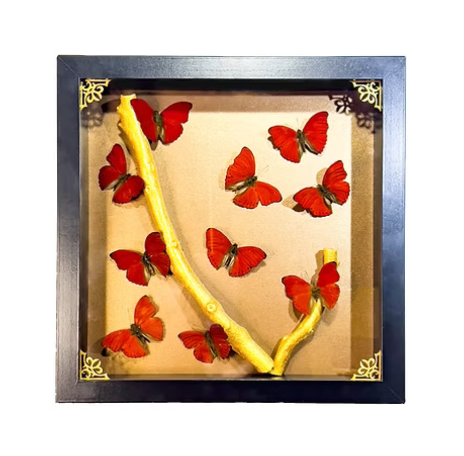 Red Glider Triptych