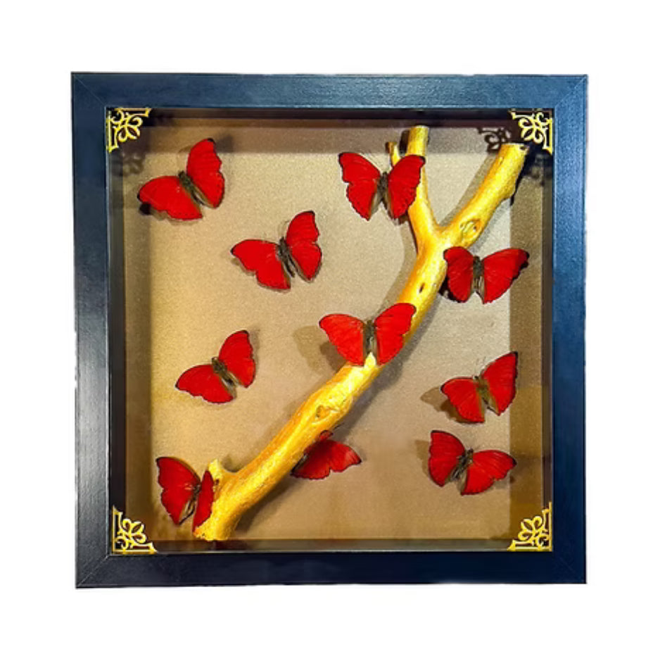 Red Glider Triptych