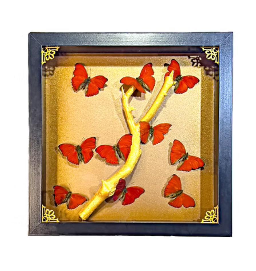 Red Glider Triptych
