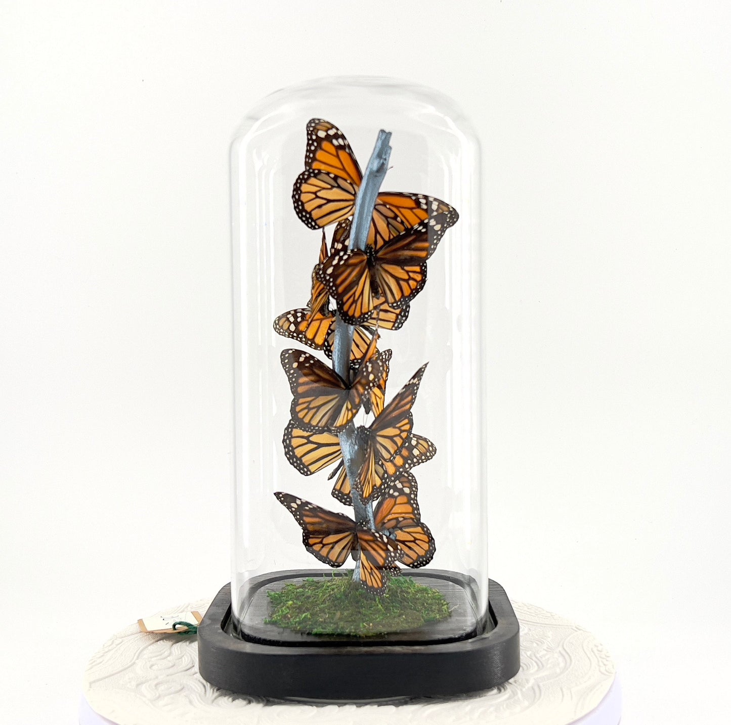 Small Centerpiece | Monarch | Flutter by Katie | Butterfly Display | Handmade | Real Butterflies | North American Butterflies | Black Orange
