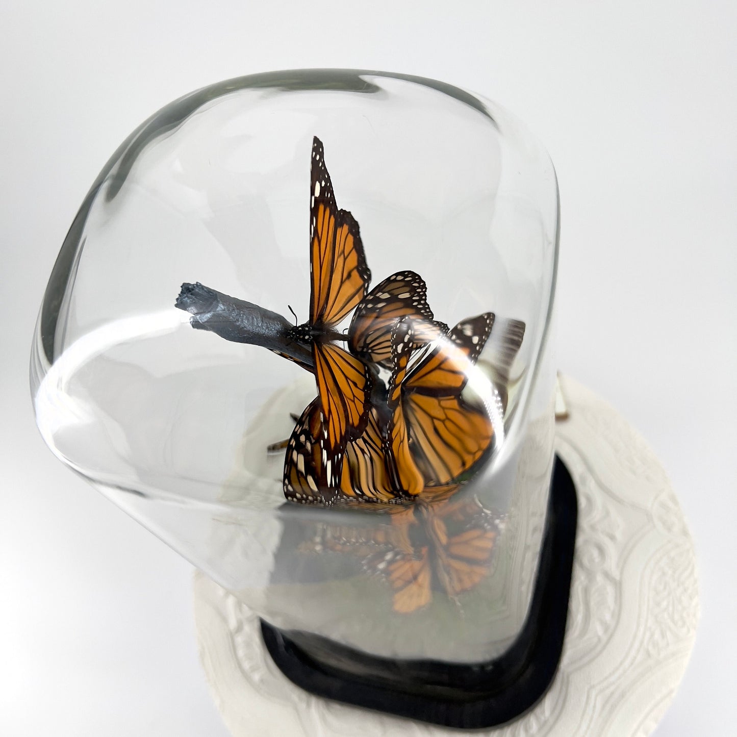 Small Centerpiece | Monarch | Flutter by Katie | Butterfly Display | Handmade | Real Butterflies | North American Butterflies | Black Orange