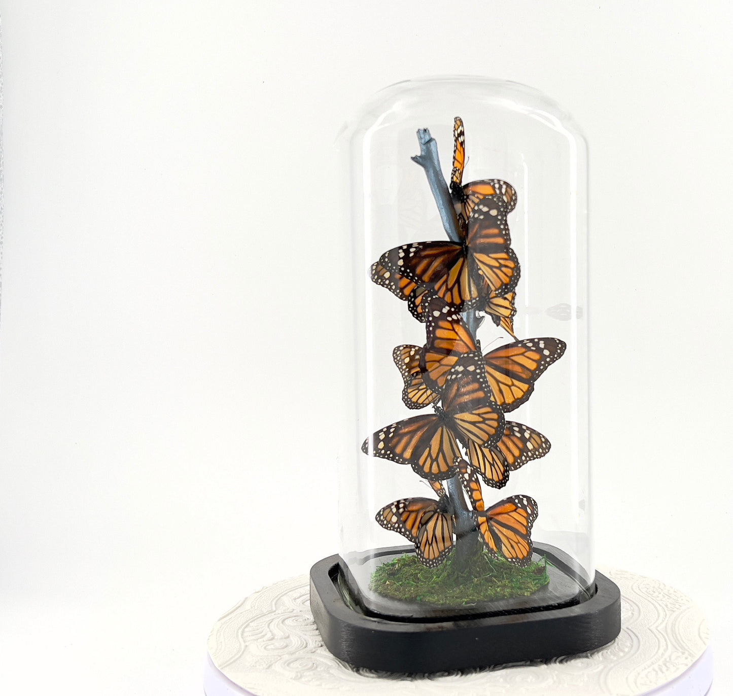 Small Centerpiece | Monarch | Flutter by Katie | Butterfly Display | Handmade | Real Butterflies | North American Butterflies | Black Orange