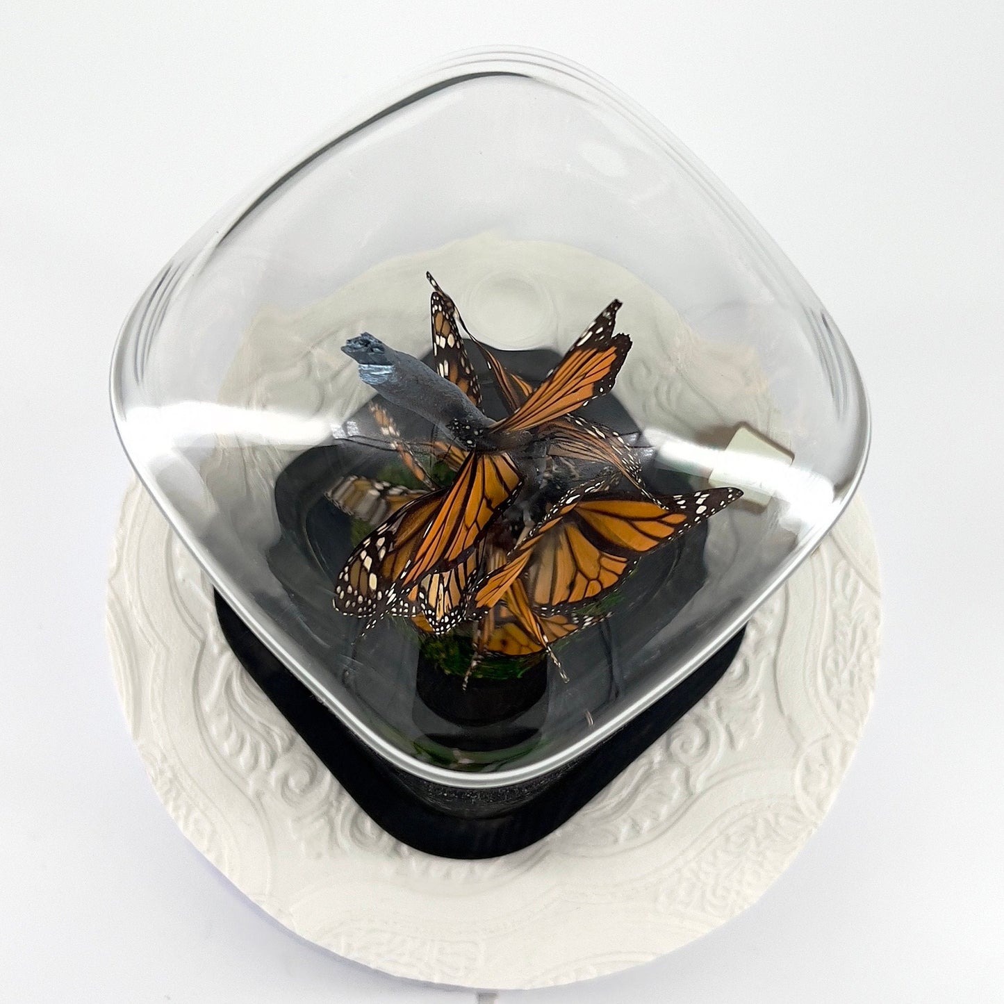 Small Centerpiece | Monarch | Flutter by Katie | Butterfly Display | Handmade | Real Butterflies | North American Butterflies | Black Orange