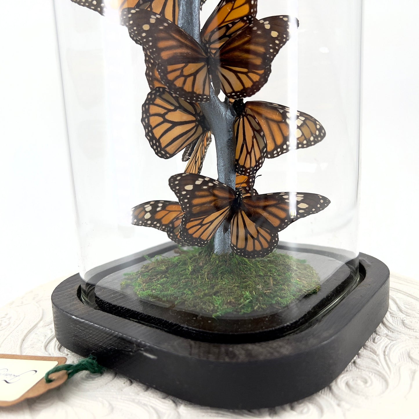 Small Centerpiece | Monarch | Flutter by Katie | Butterfly Display | Handmade | Real Butterflies | North American Butterflies | Black Orange