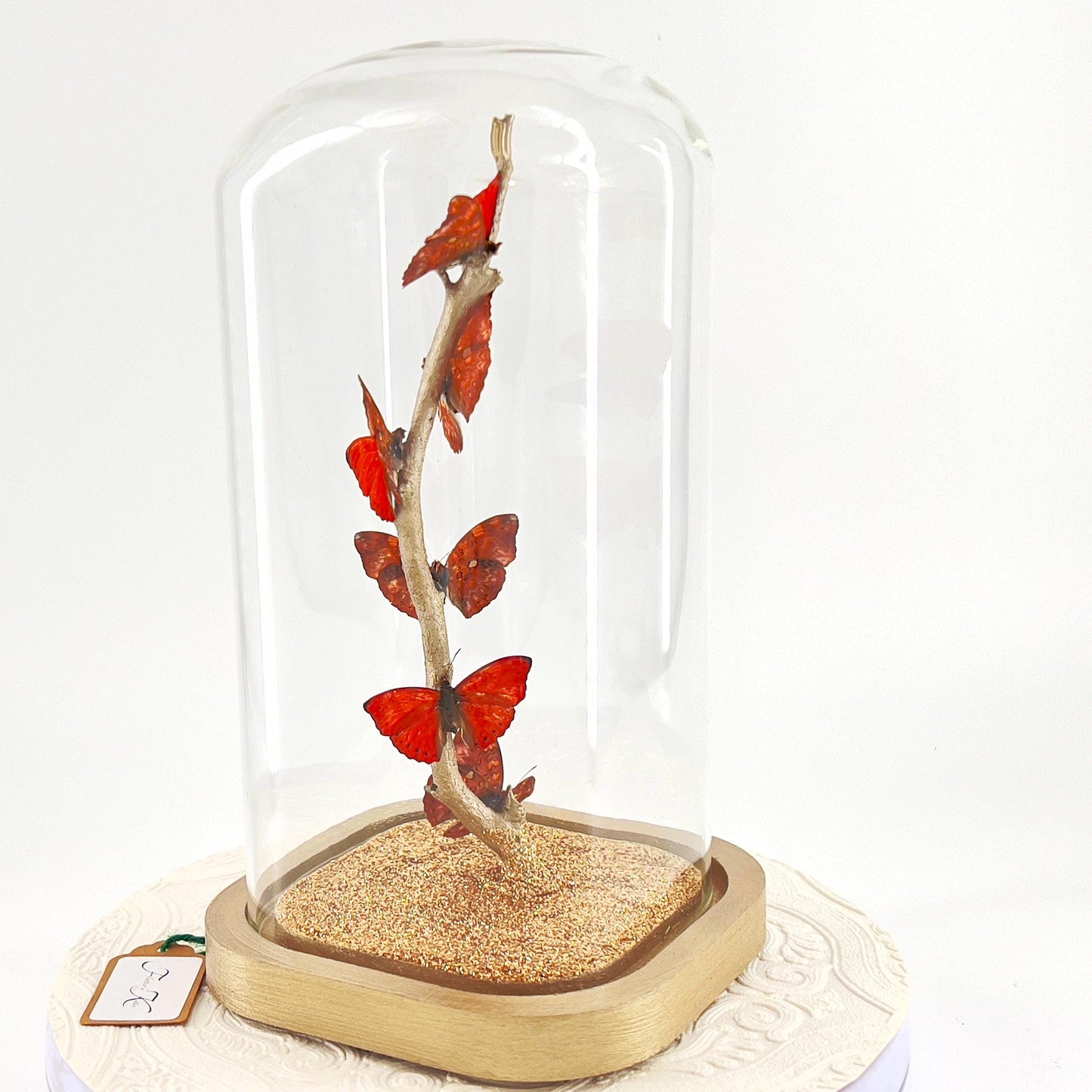 Small Centerpiece | Red Glider Butterfly | Red | Flutter by Katie | Sculpture Art | Butterfly Display | Africa