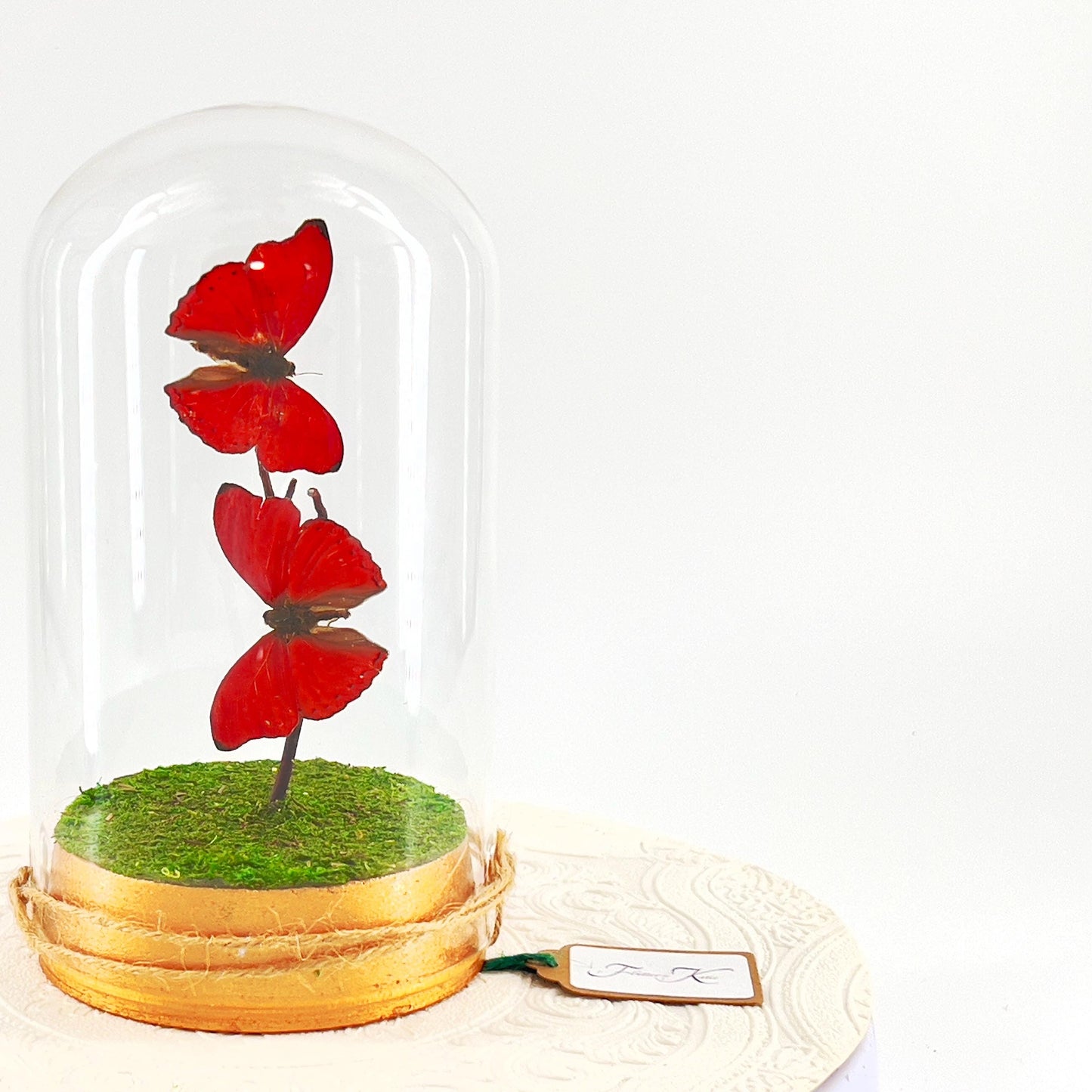 Large Pendant | Double Red Glider | Red | Flutter by Katie | Butterfly Sculpture Art | Handmade | Africa | Taxidermy