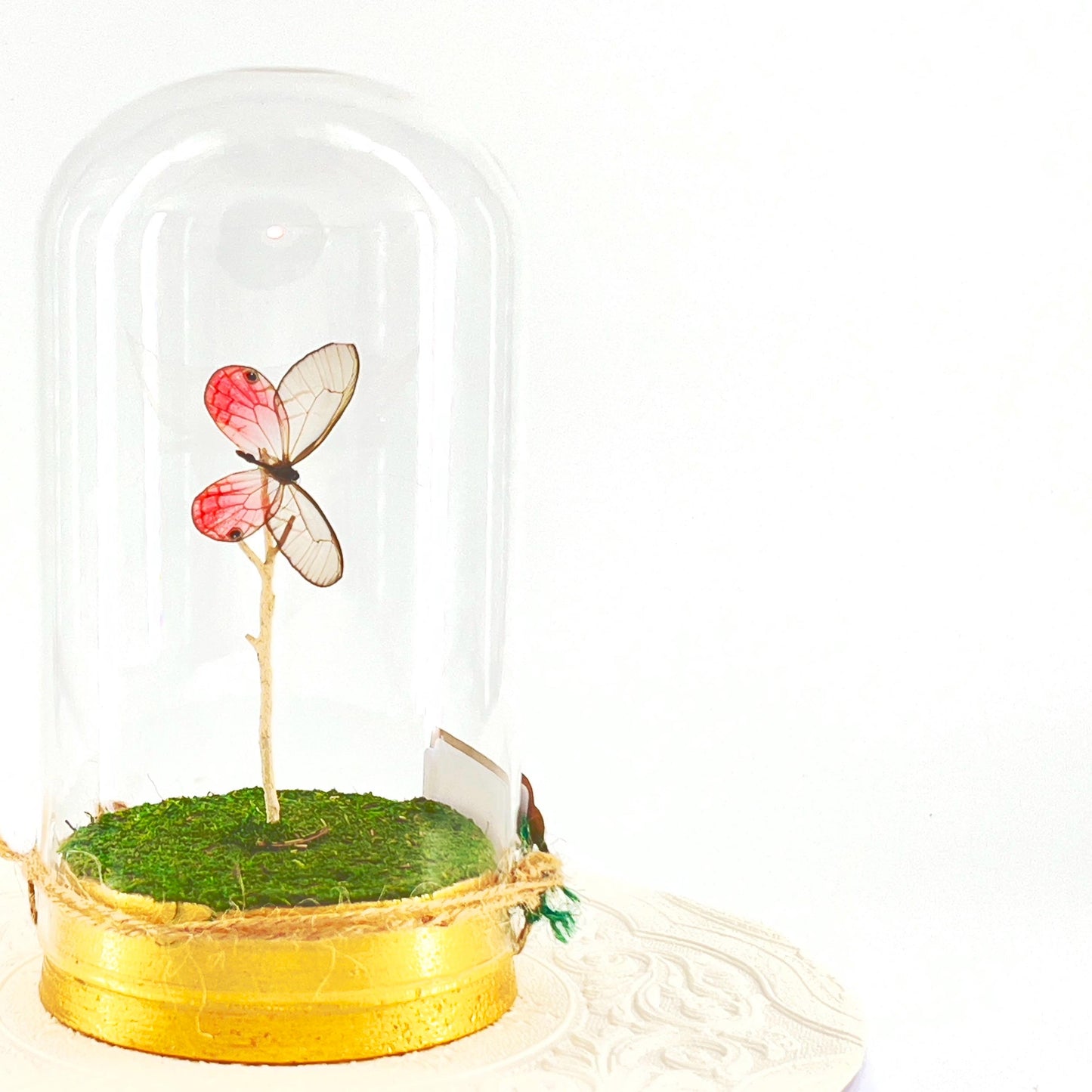 Large Pendant | Pink Glasswing | Flutter by Katie | Translucent | Butterfly Display | Sculpture Art | Pink | Handmade | South America