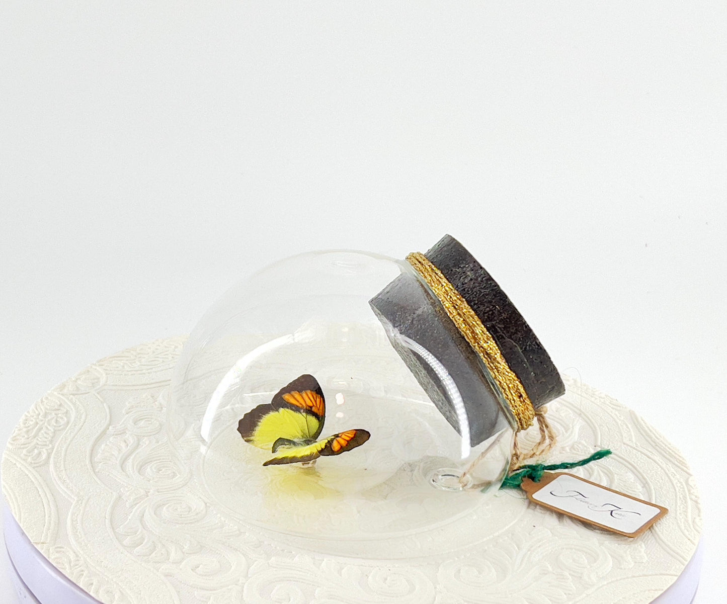 Droplet | Tabletop | Wall Hanging |Yellow Orange Tip | Flutter by Katie | Sculpture Art | Butterfly Display | Glass Bubble | Decor | SE Asia