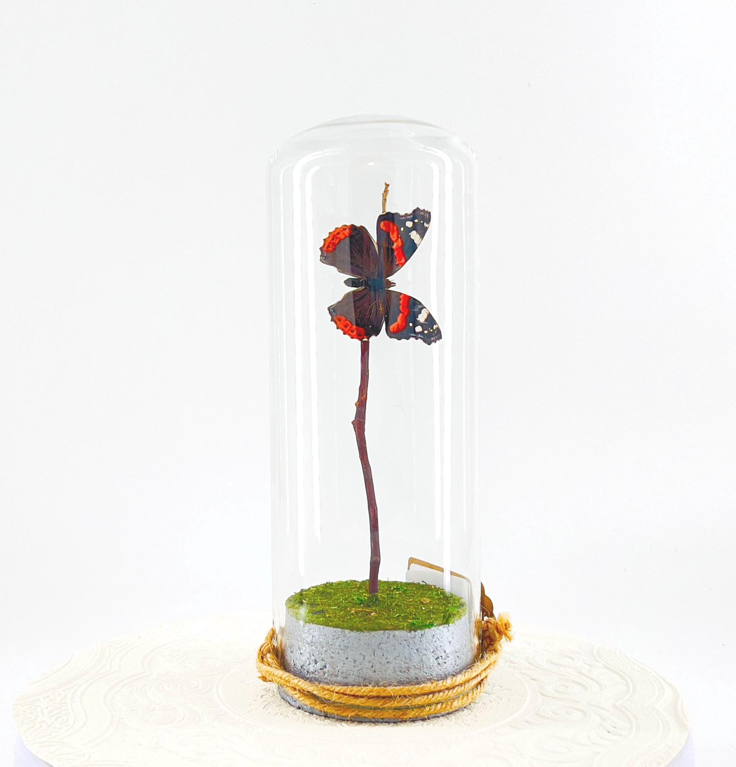 Pendant | Centerpiece | Red Admiral | Orange Black | Flutter by Katie | Butterfly Display | Sculpture Art | Handmade | Home Decor | NY USA