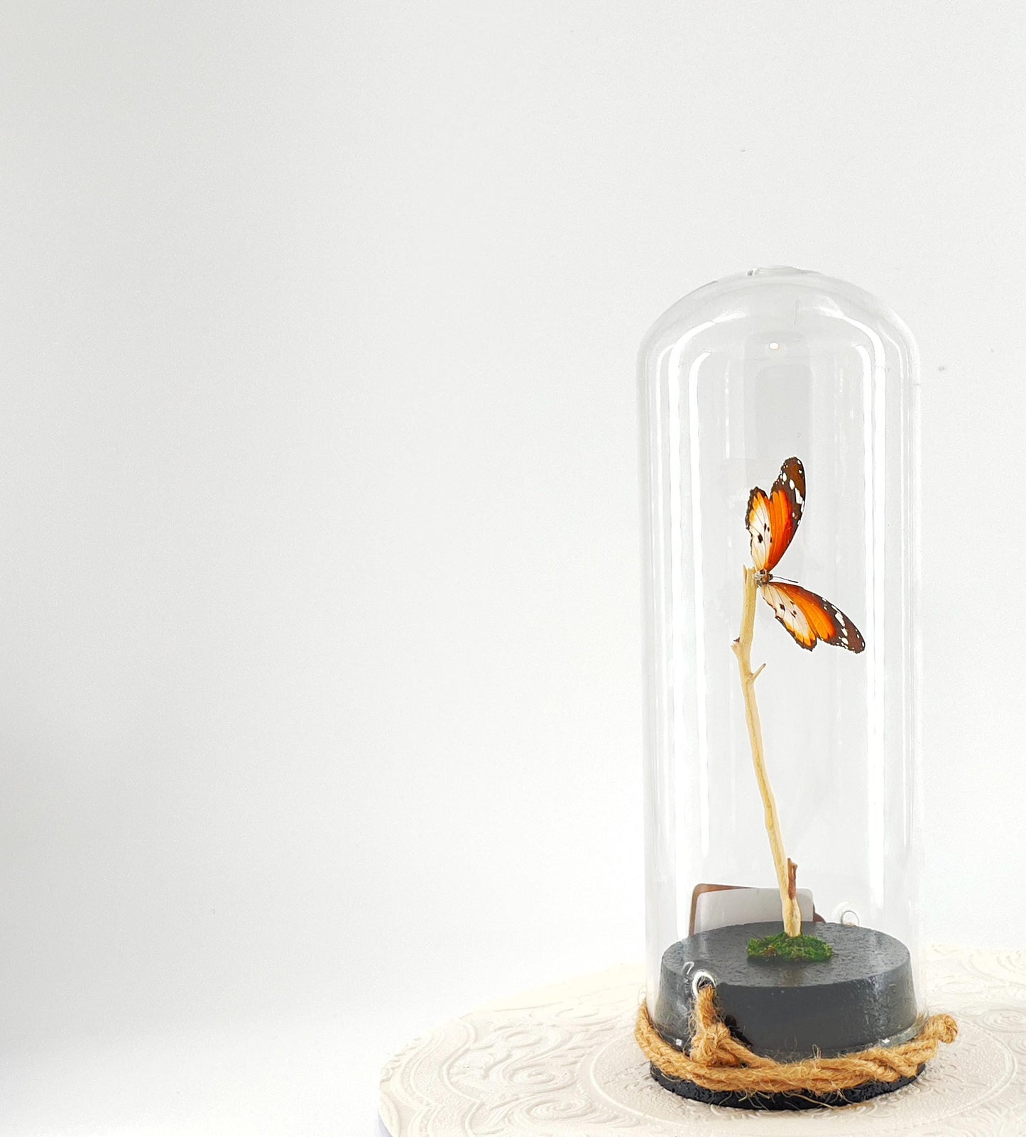 Pendant | Centerpiece | African Monarch | Brown White | Flutter by Katie | Butterfly Display | Sculpture Art | Handmade |Decor| North Africa