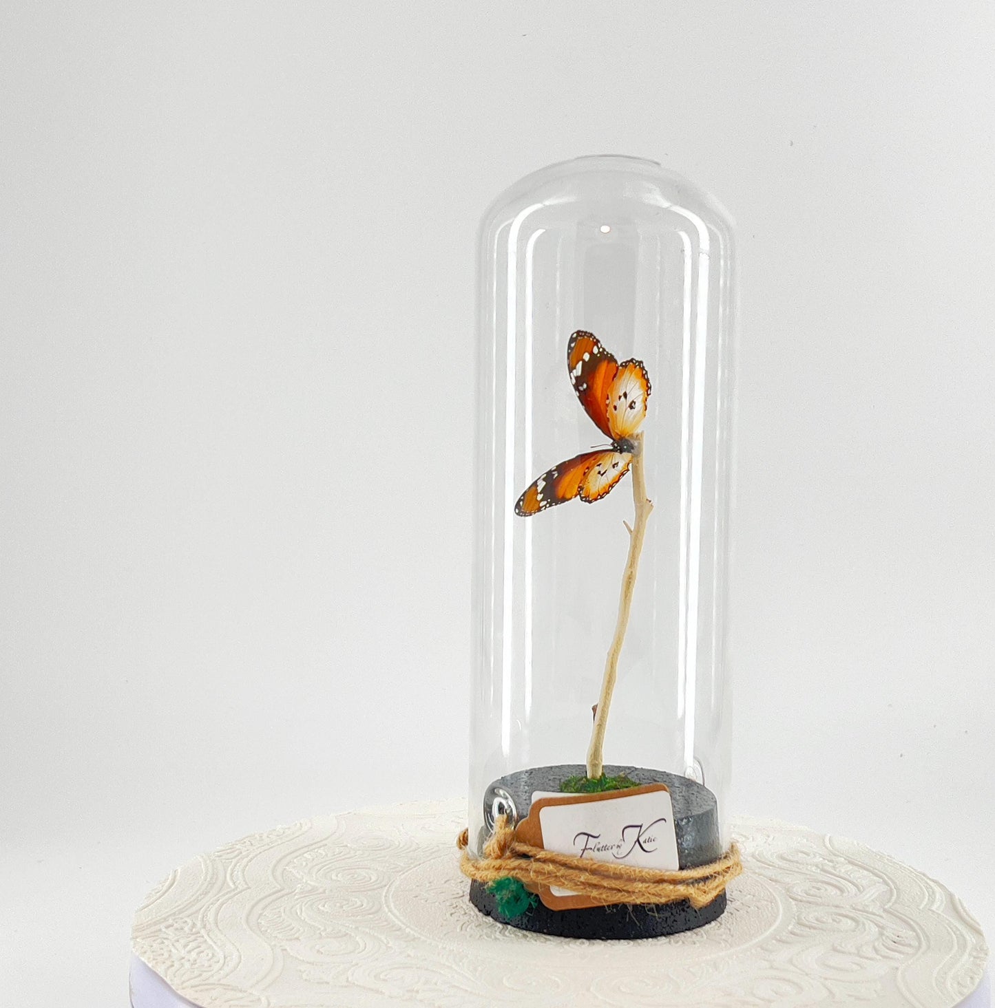 Pendant | Centerpiece | African Monarch | Brown White | Flutter by Katie | Butterfly Display | Sculpture Art | Handmade |Decor| North Africa