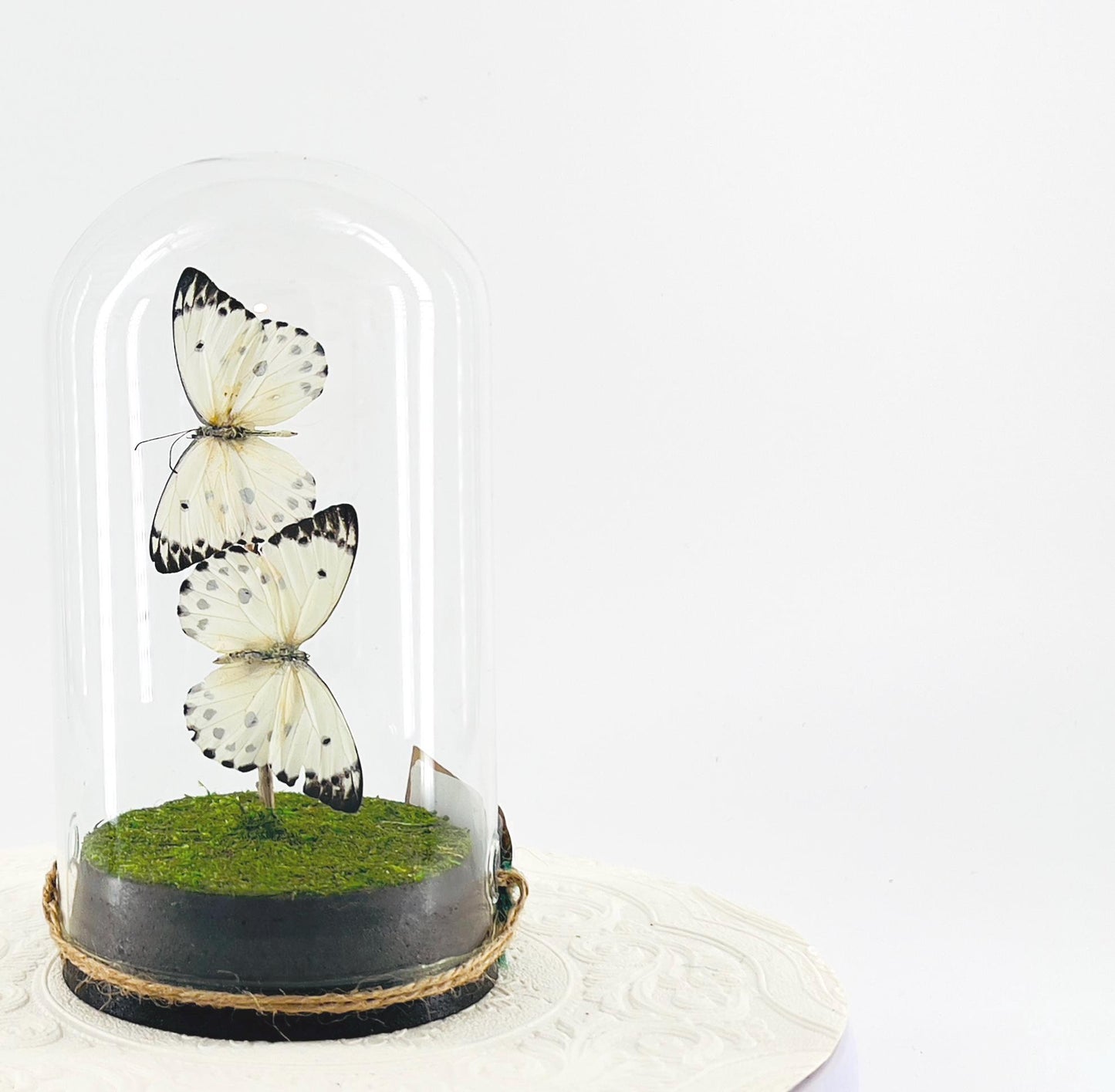 Large Pendant | Double Calypso | White Black Polkadots | Flutter by Katie | Butterfly Sculpture Art | Handmade | Home Decor | Central Africa