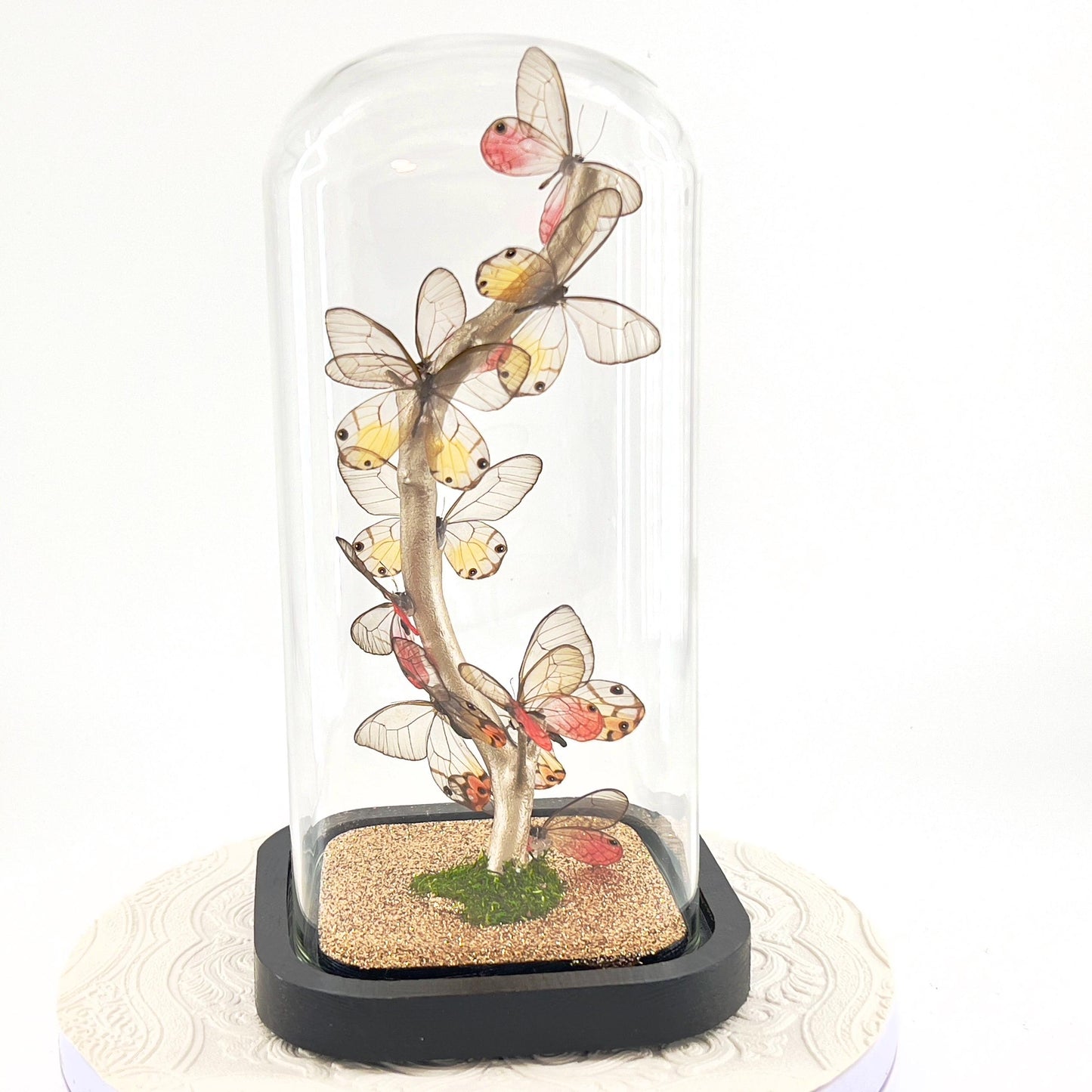 Small Centerpiece | Glasswing Butterfly | Pink and Amber Phantom | Flutter by Katie | Sculpture Art | Butterly Display | South America