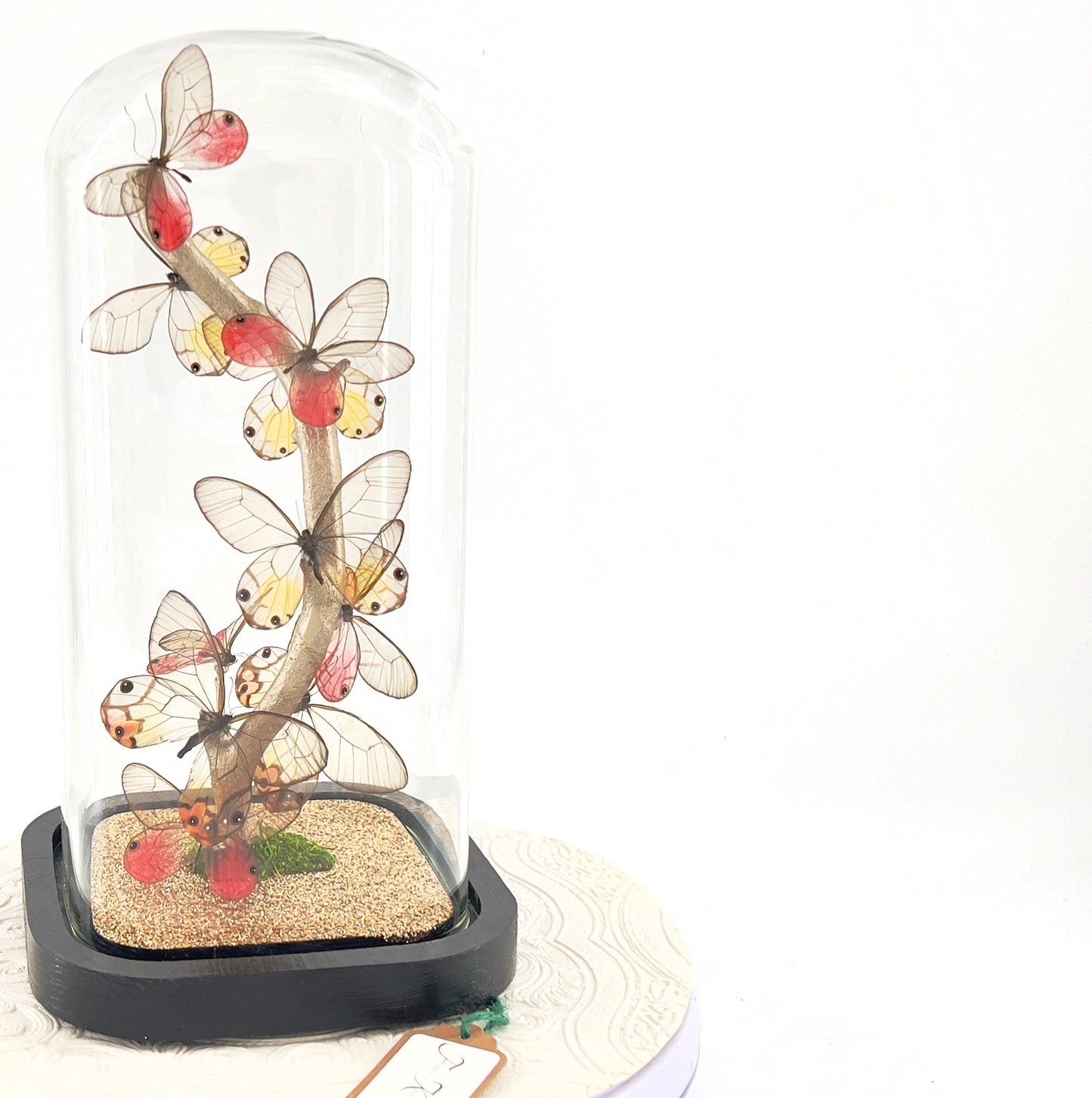 Small Centerpiece | Glasswing Butterfly | Pink and Amber Phantom | Flutter by Katie | Sculpture Art | Butterly Display | South America