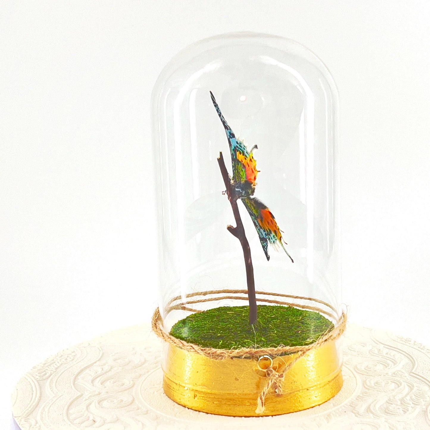 Large Pendant | Centerpiece | Sunset Moth | Rainbow | Green Yellow | Flutter by Katie | Sculpture Art | Butterfly Display | Madagascar