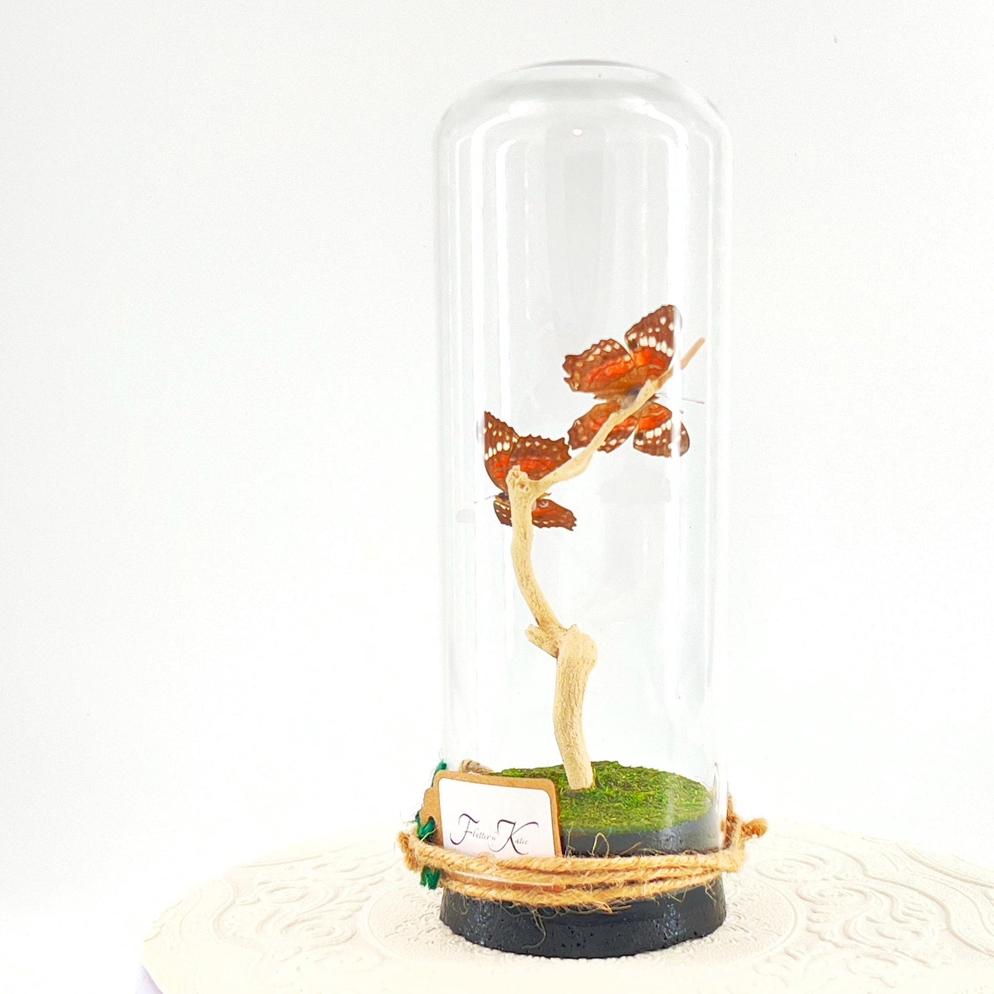 Pendant | Centerpiece | Double Scarlet Peacock | Red Brown | Flutter by Katie | Butterfly Display | Sculpture Art | Handmade | South America