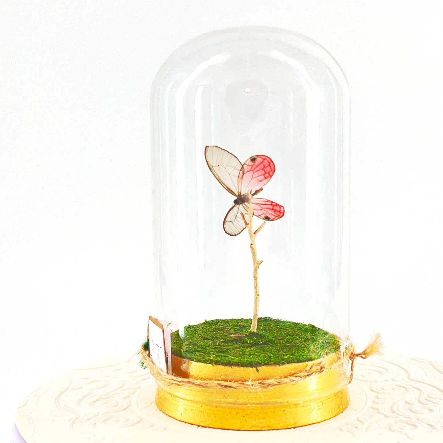 Large Pendant | Pink Glasswing | Flutter by Katie | Translucent | Butterfly Display | Sculpture Art | Pink | Handmade | South America