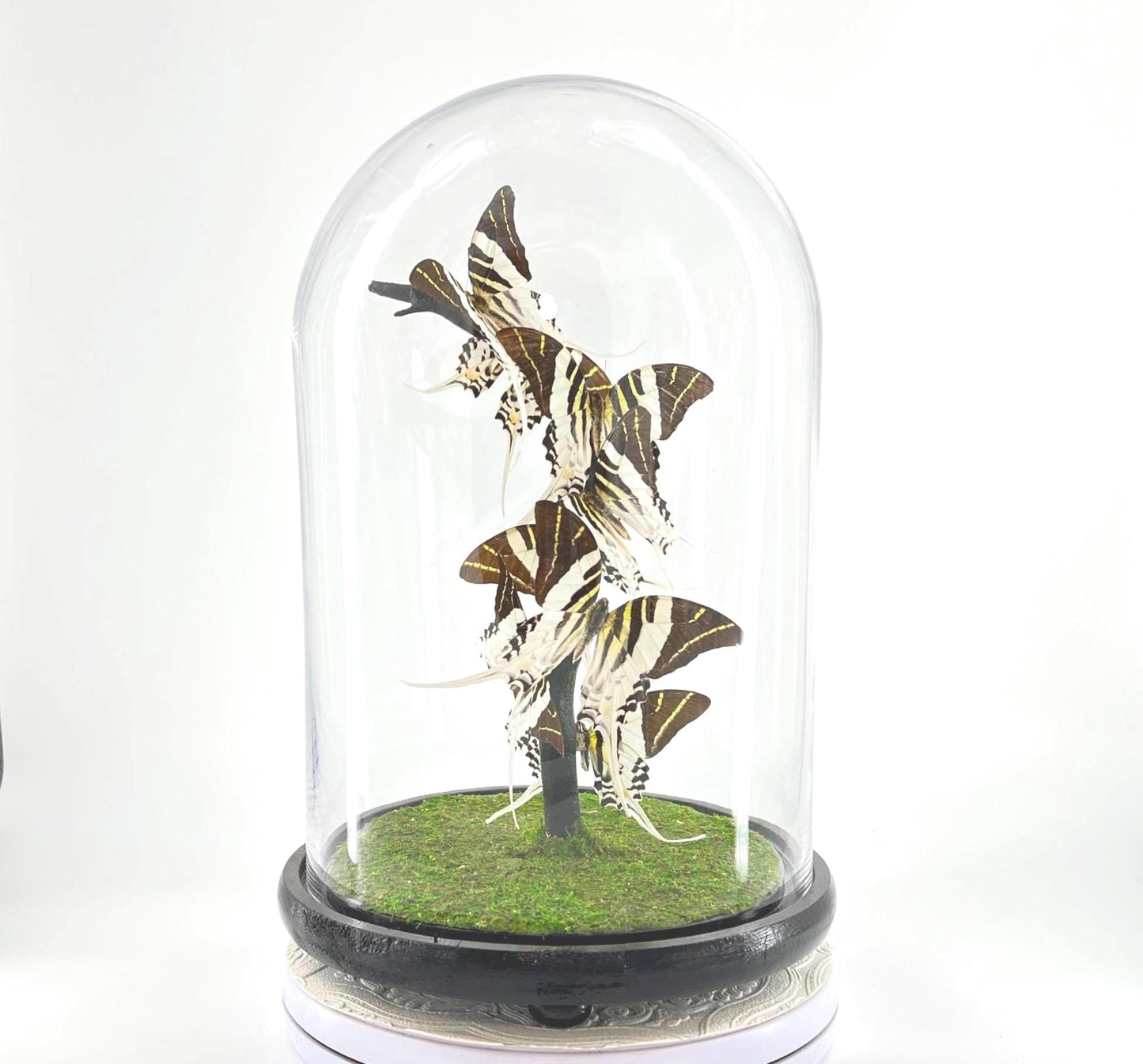 Large Centerpiece | Giant Swordtail| Black White Stripes | Flutter by Katie | Sculpture Art | Handmade Butterfly Sculpture Art | Indonesia