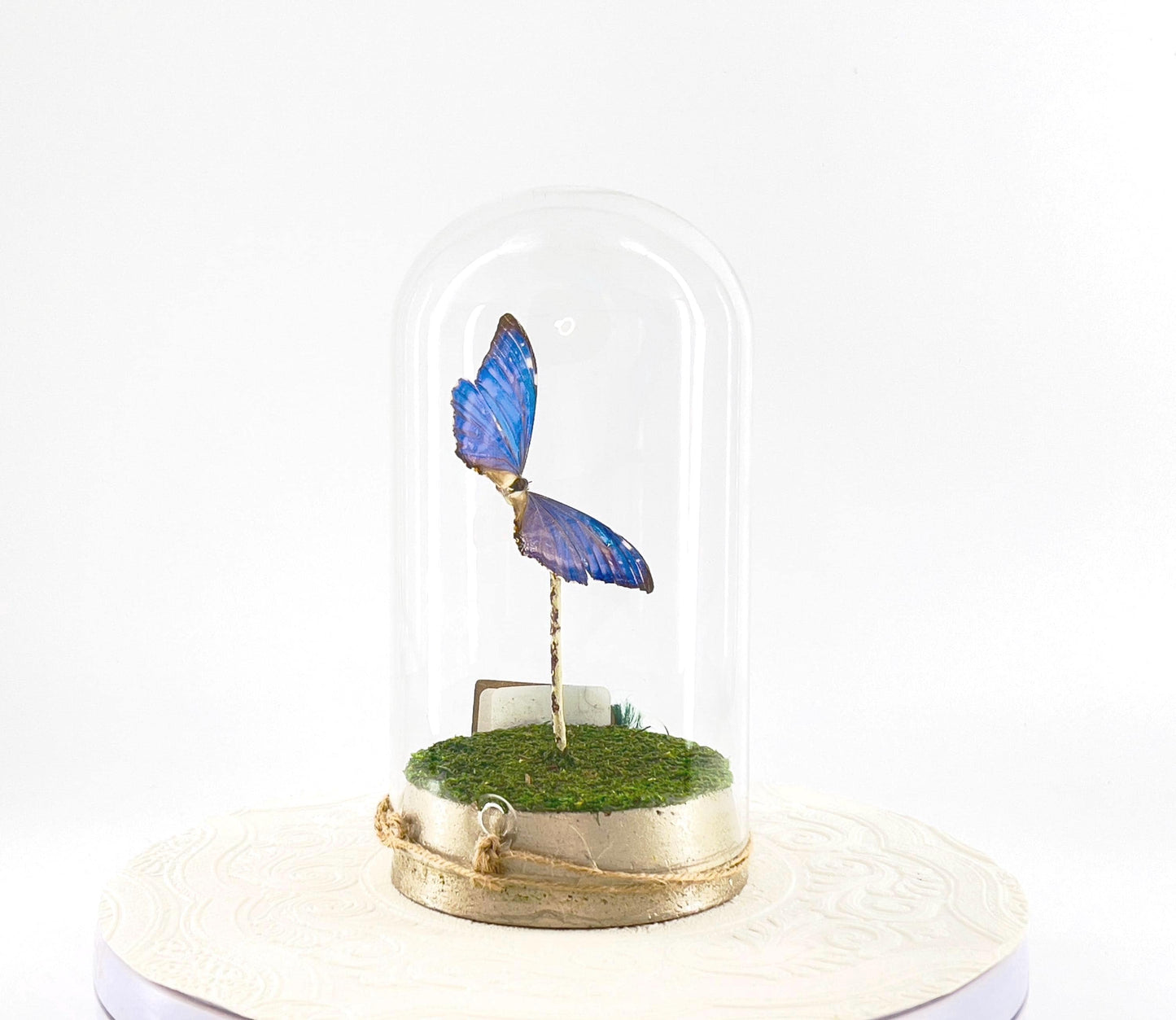 Large Pendant | Zephyritis Morpho | Blue | Flutter by Katie | Butterfly Sculpture Art | Handmade | Butterfly Display Home Decor | Bolivia