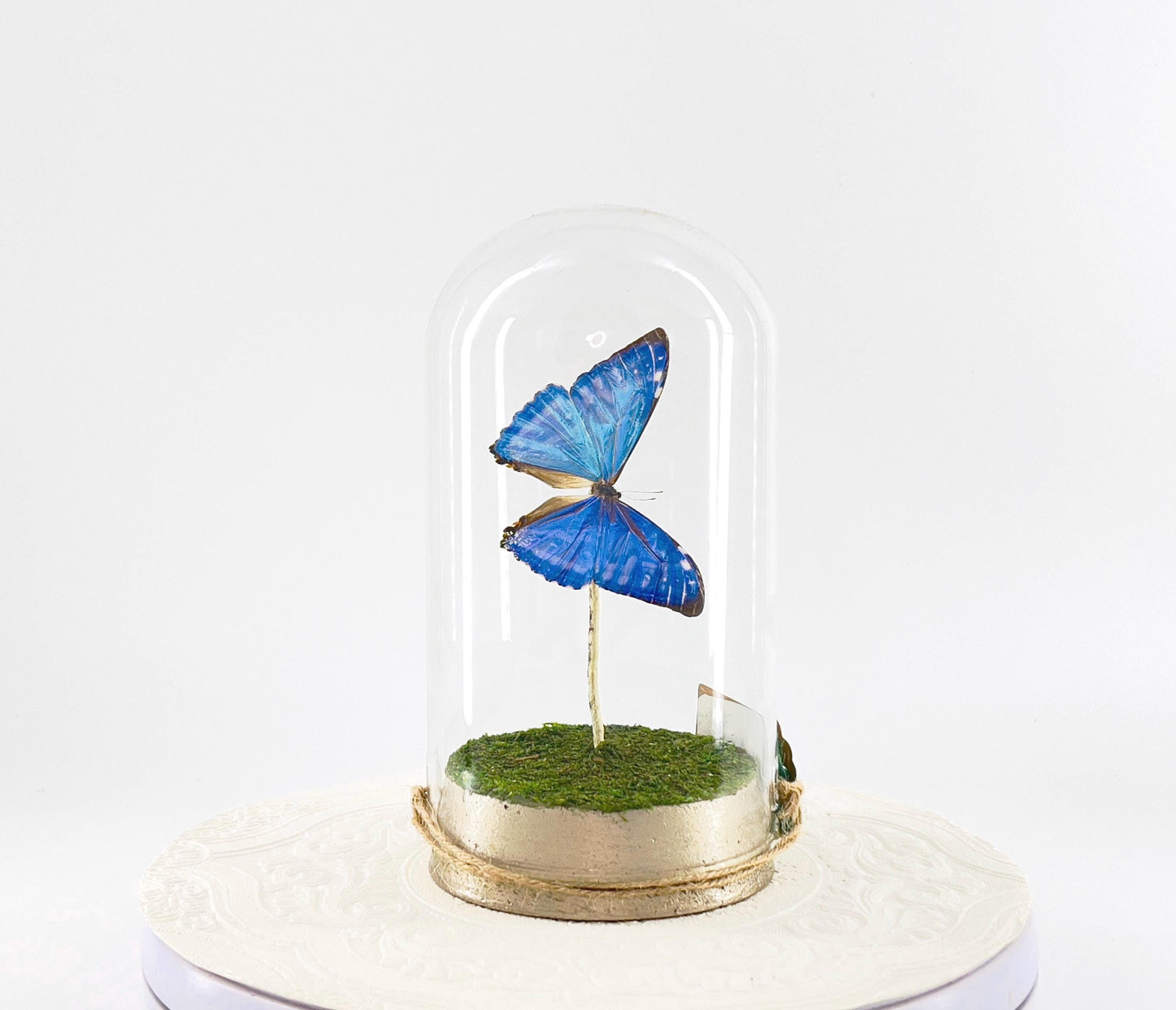 Large Pendant | Zephyritis Morpho | Blue | Flutter by Katie | Butterfly Sculpture Art | Handmade | Butterfly Display Home Decor | Bolivia