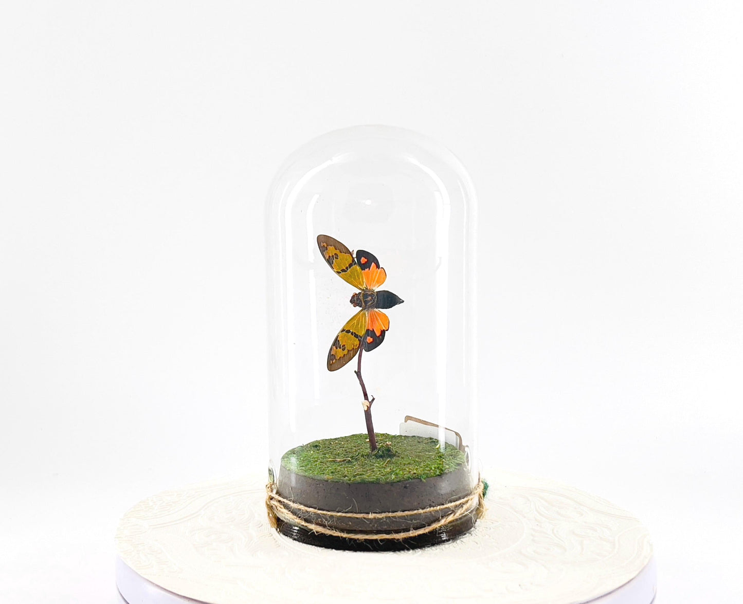 Large Pendant | Orange Cicada | Flutter by Katie | Butterfly Sculpture Art | Handmade | Butterfly Display Home Decor | Laos