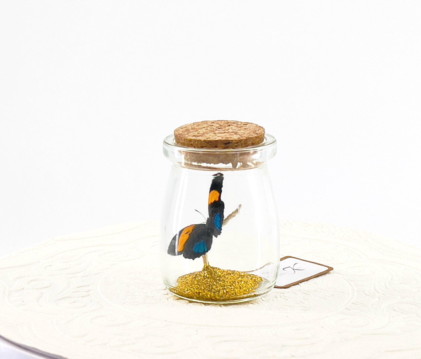 Mini Centerpiece Blue Lights Numberwing | Flutter by Katie | Butterfly Display Real Butterflies Handmade Sculpture Art | Home Decor | Peru
