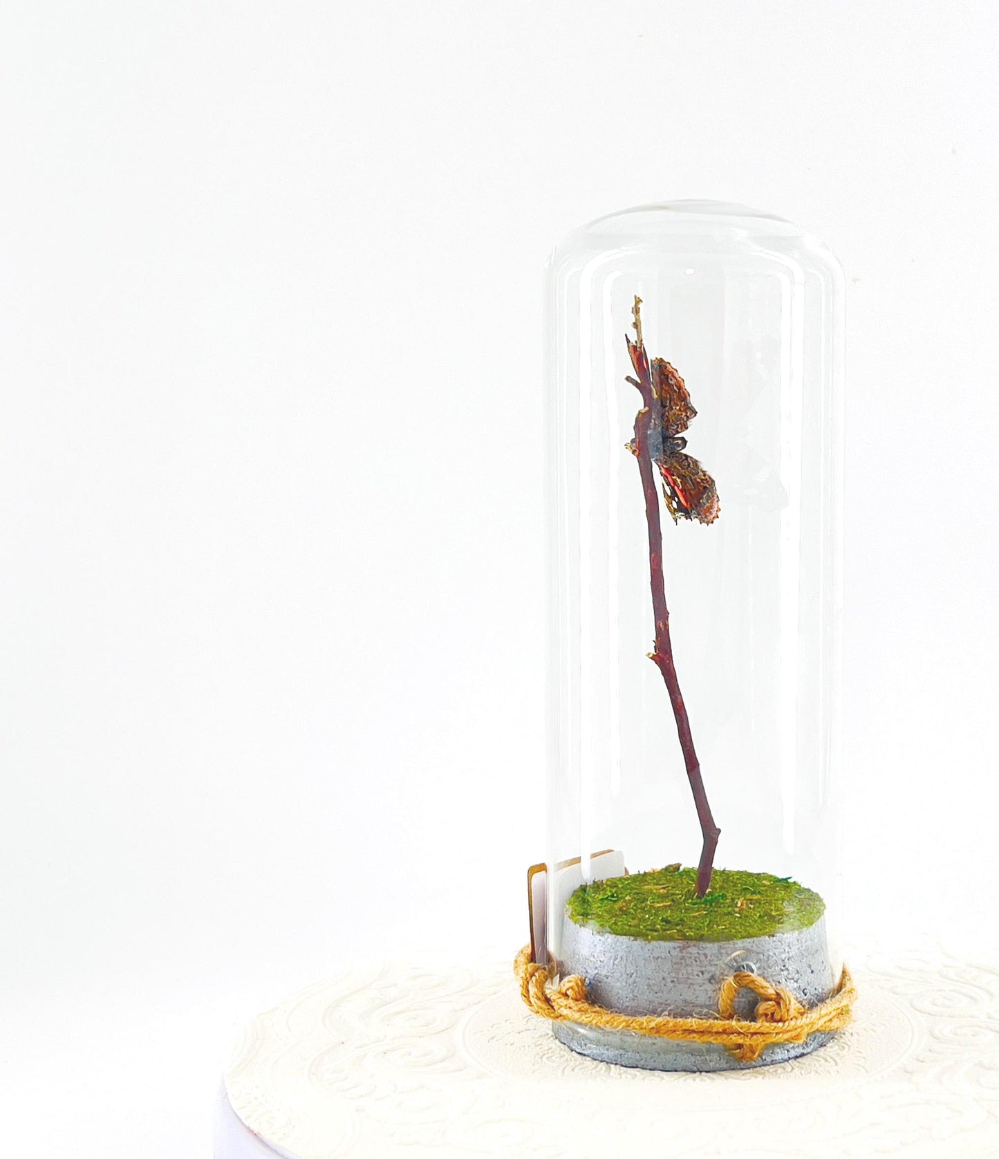 Pendant | Centerpiece | Red Admiral | Orange Black | Flutter by Katie | Butterfly Display | Sculpture Art | Handmade | Home Decor | NY USA