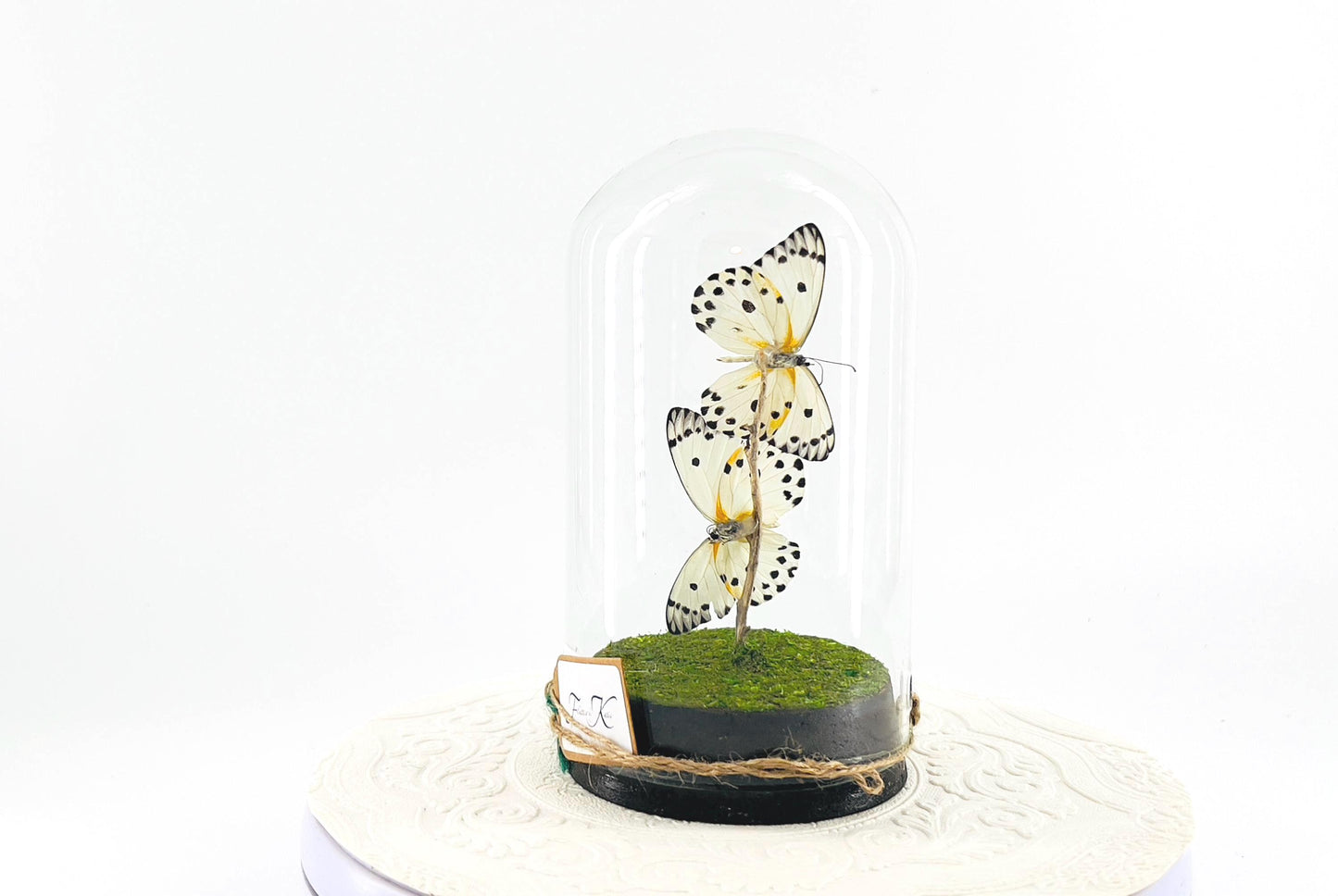 Large Pendant | Double Calypso | White Black Polkadots | Flutter by Katie | Butterfly Sculpture Art | Handmade | Home Decor | Central Africa