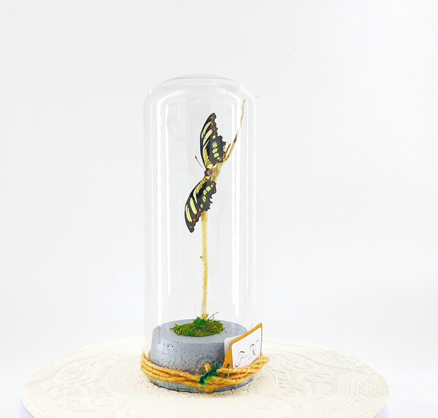 Pendant | Centerpiece | Malachite | Green Black | Flutter by Katie | Butterfly Display | Sculpture Art | Handmade | Home Decor | Peru