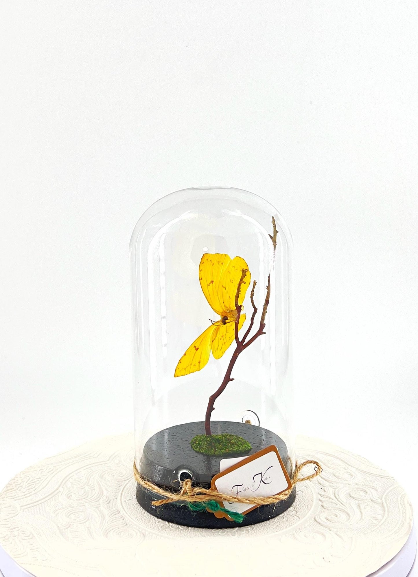 Large Pendant | Orange-barred Sulphur | Yellow | Flutter by Katie | Handmade Butterfly Sculpture Art | Home Decor | North America