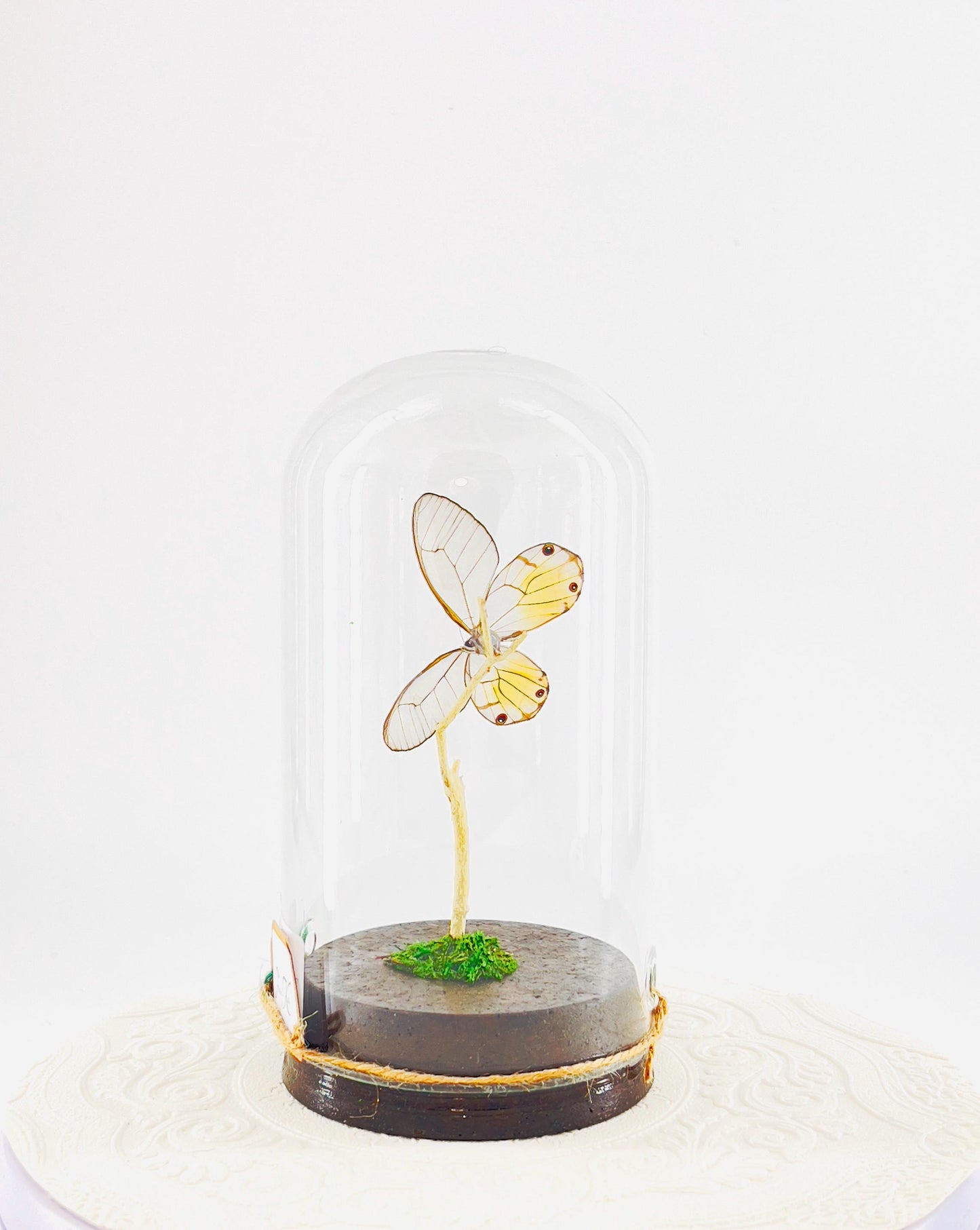 Large Pendant | Amber Phantom | Glasswing | Transparent | Flutter by Katie | Handmade Butterfly Sculpture Art | Home Decor | Peru