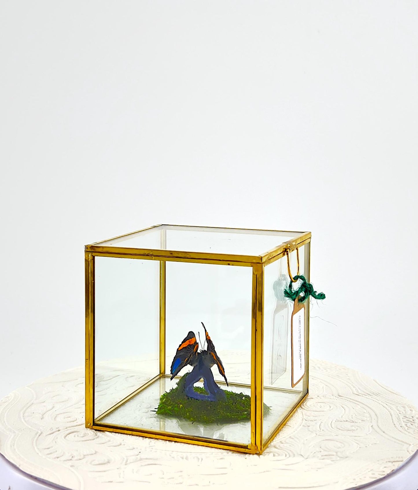 The Cube | Centerpiece | Aegina Numberwing | Blue Yellow Stripes | Handmade Butterfly Sculpture Art | Flutter by Katie | Glass Cube | Peru