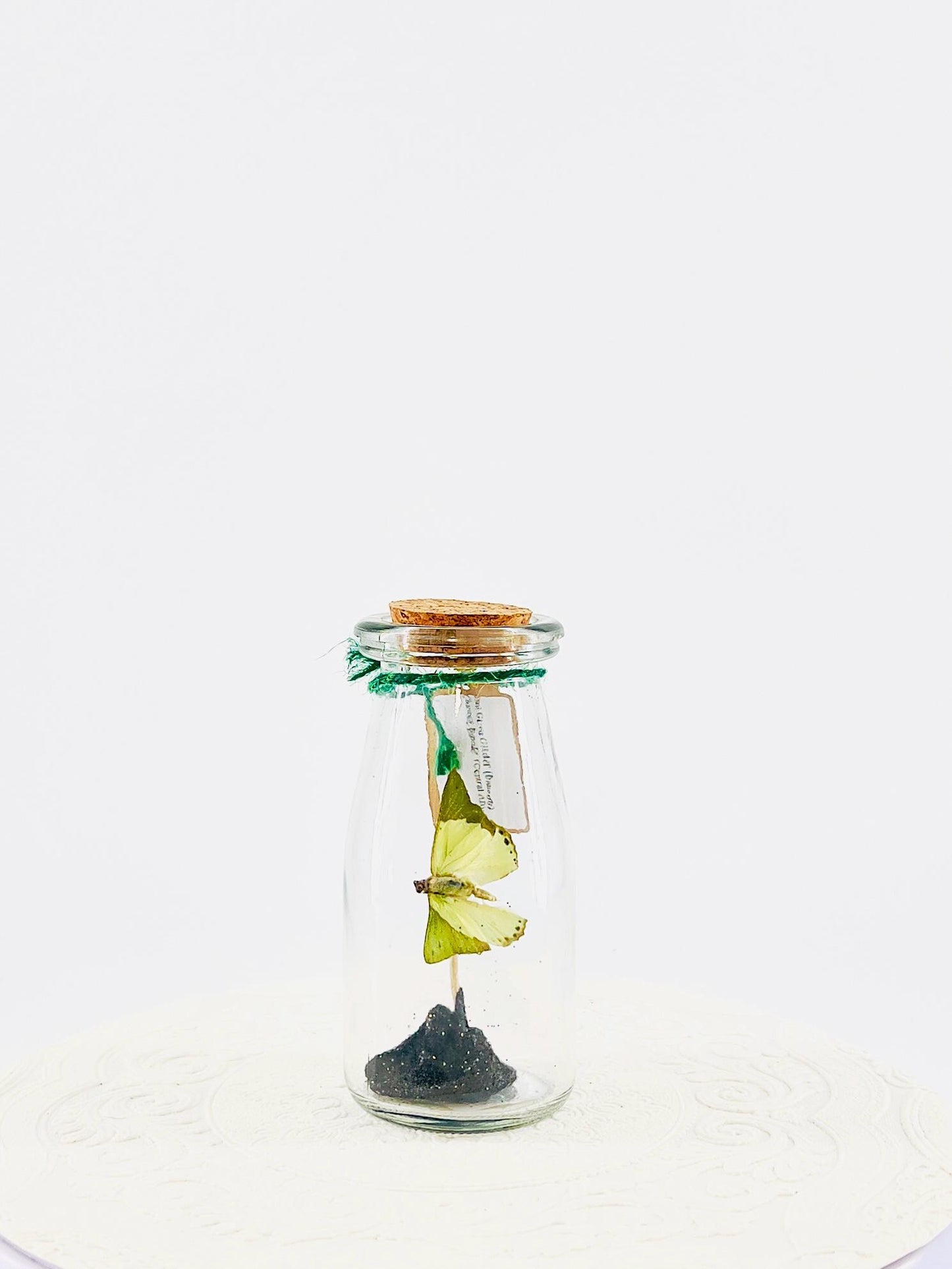 Accent | Centerpiece | Mint Green Glider | Flutter by Katie | Handmade Real Butterfly Sculpture Art | Home Decor | Central Africa