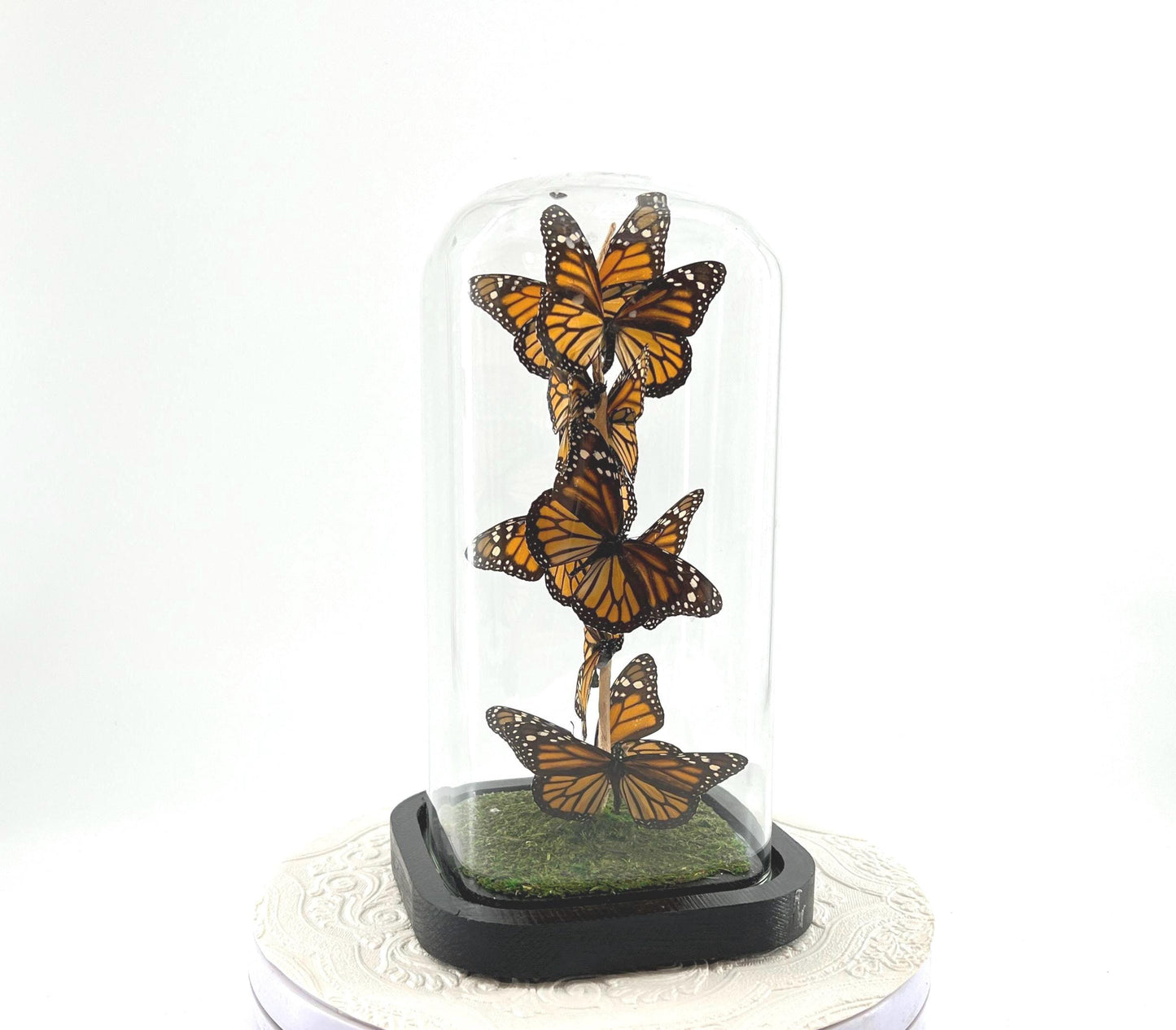 Small Centerpiece | Monarch | Orange Black | Flutter by Katie | Handmade Butterfly Sculpture Art | Taxidermy | Home Decor | North America