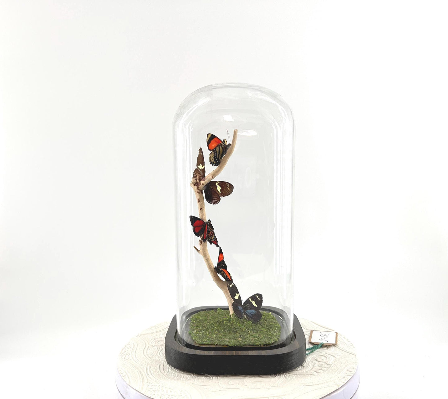 Small Centerpiece | Numberwing | Red Blue Yellow | Flutter by Katie | Handmade Butterfly Sculpture Art | Decor | Central and South America