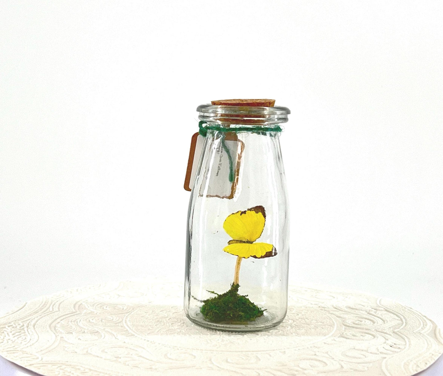 Accent | Centerpiece | Common Grass Yellow | Pale Yellow | Flutter by Katie | Handmade Butterfly Sculpture Art | Home Decor| Australia