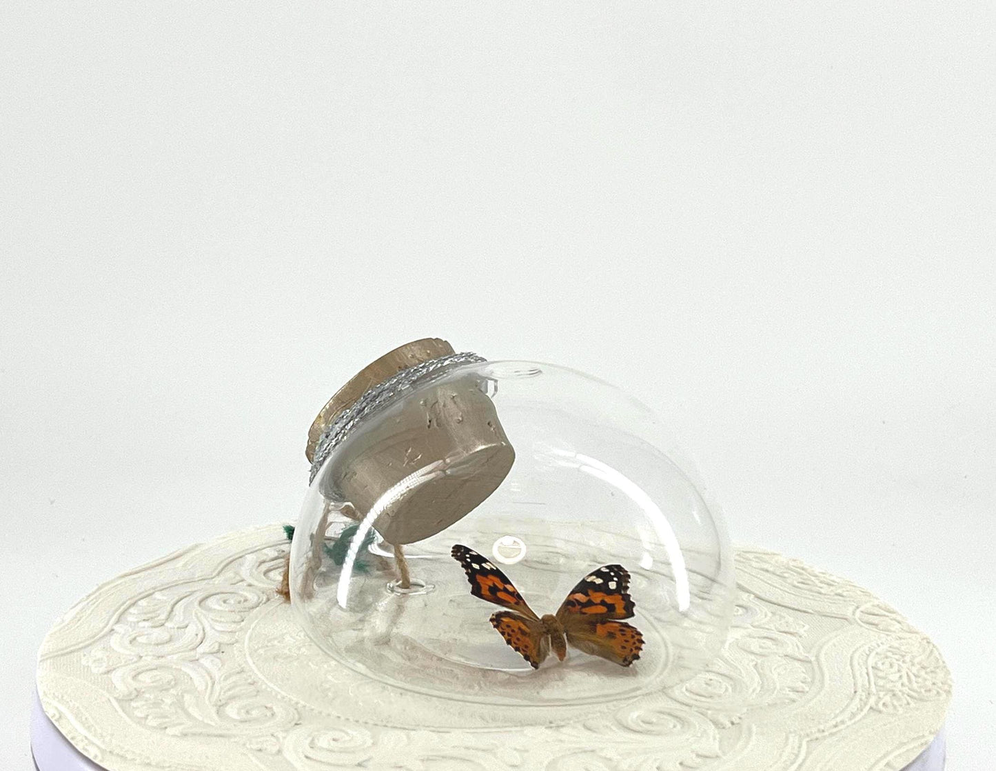 Droplet Tabletop Wall Hanging Painted Lady | Orange White Brown | Flutter by Katie | Handmade Butterfly Sculpture Art | HomeDecor | New York