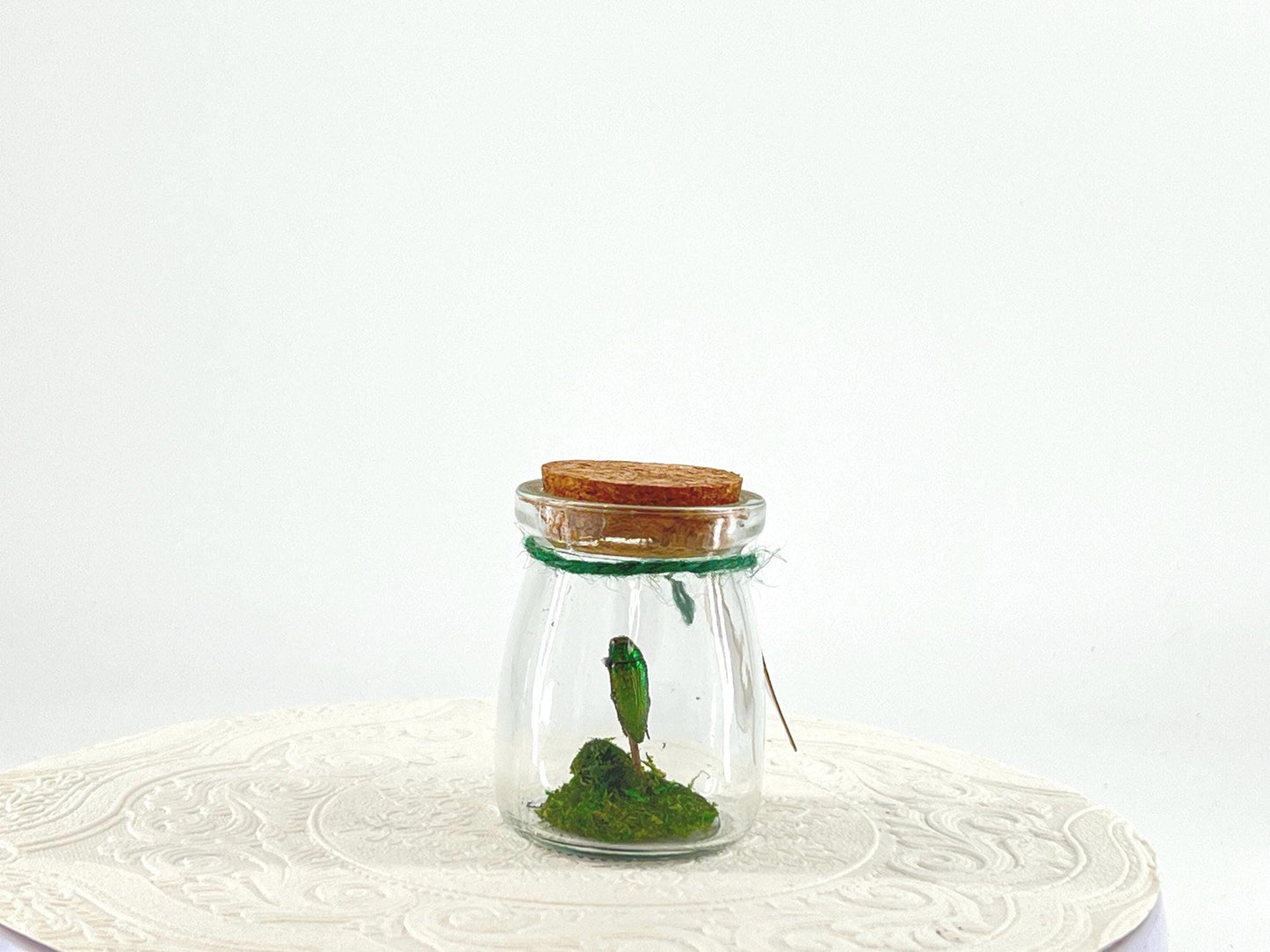 Mini Centerpiece Golden Buprestid Beetle | Iridescent Green | Flutter by Katie | Handmade Butterfly Sculpture Art | Home Decor | Guatemala
