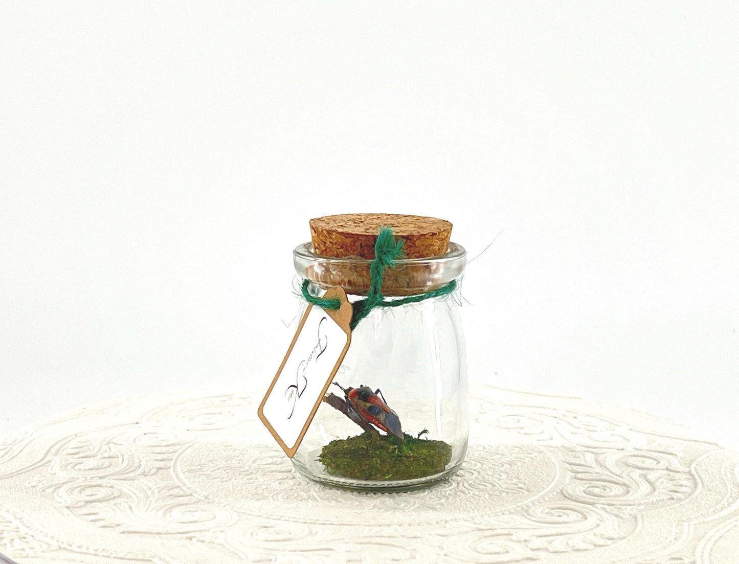 Mini Centerpiece Man Faced Beetle | Red White Blue | Flutter by Katie | Handmade Butterfly Sculpture Art | Home Decor | Indonesia