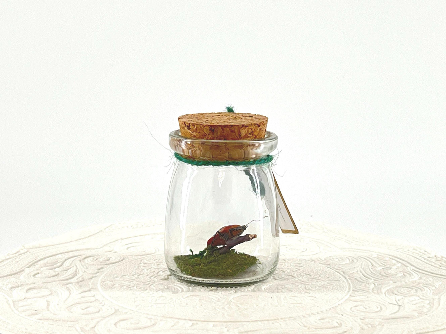 Mini Centerpiece Man Faced Beetle | Red White Blue | Flutter by Katie | Handmade Butterfly Sculpture Art | Home Decor | Indonesia