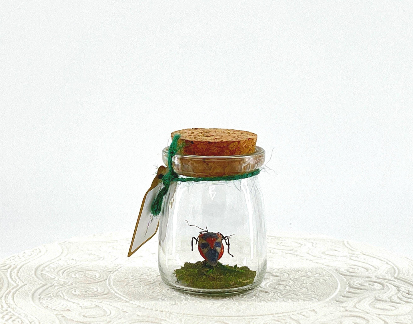 Mini Centerpiece Man Faced Beetle | Red White Blue | Flutter by Katie | Handmade Butterfly Sculpture Art | Home Decor | Indonesia