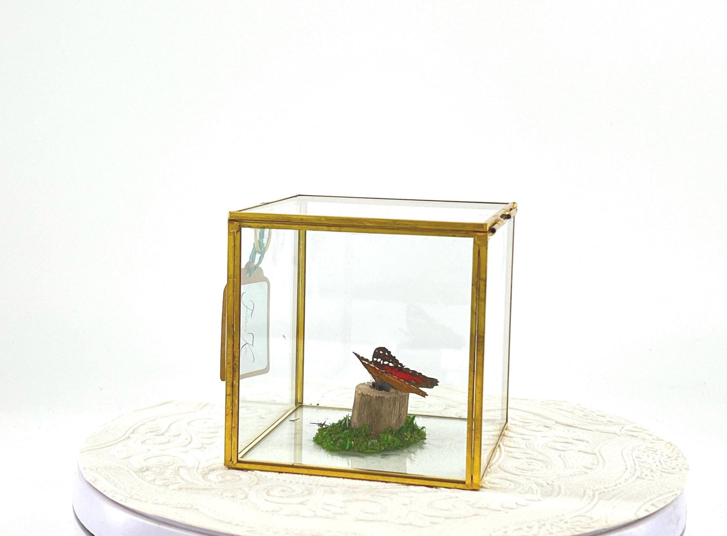 The Cube | Centerpiece | Scarlet Peacock | Red White | Flutter by Katie | Handmade Butterfly Sculpture Art | Home Decor | South America