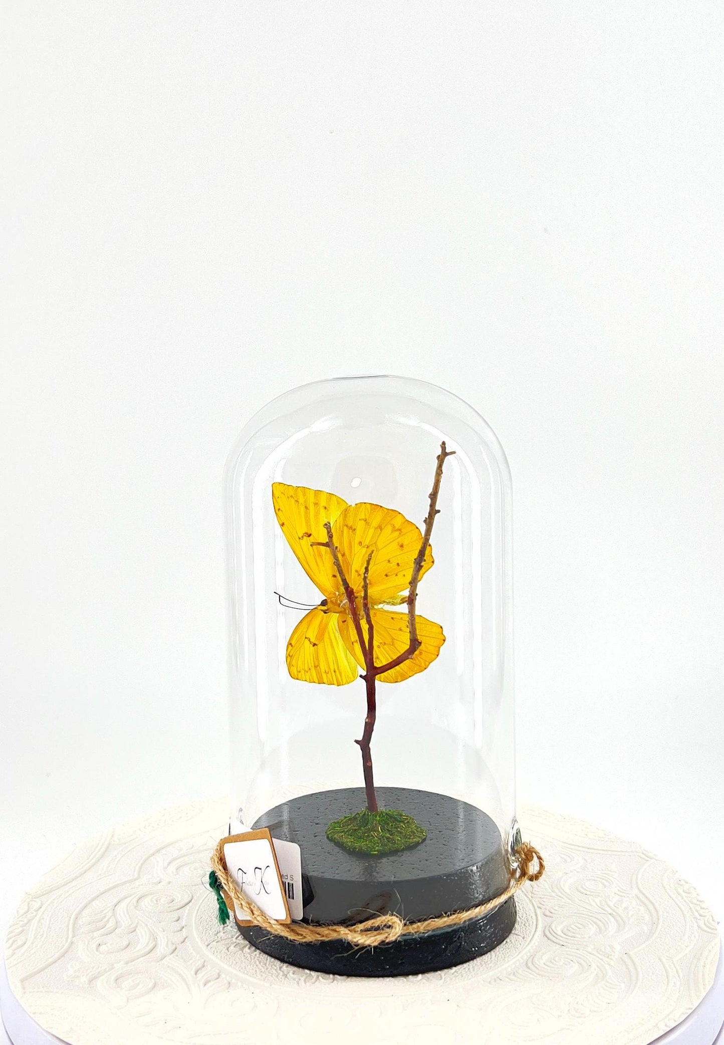Large Pendant | Orange-barred Sulphur | Yellow | Flutter by Katie | Handmade Butterfly Sculpture Art | Home Decor | North America